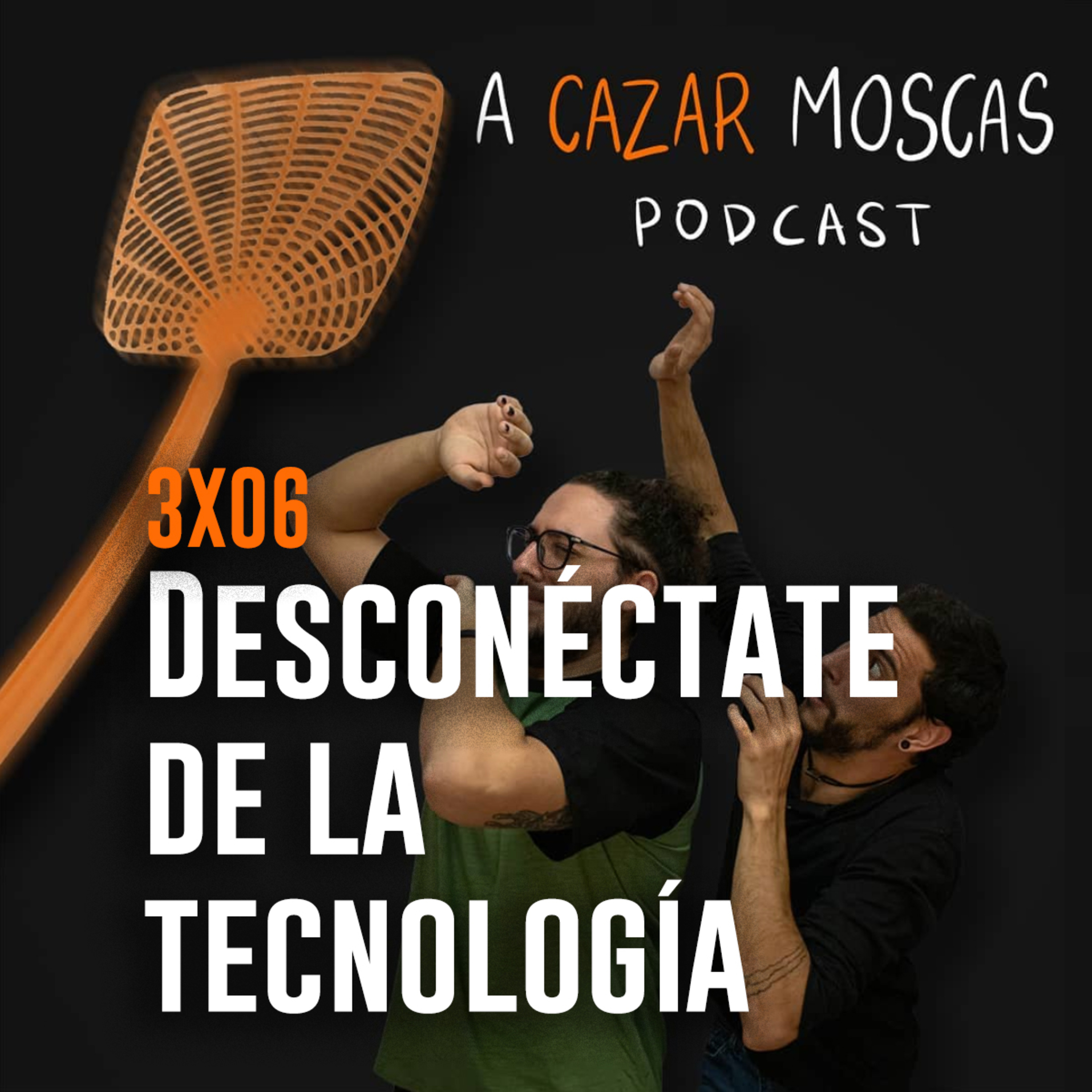 A Cazar Moscas
