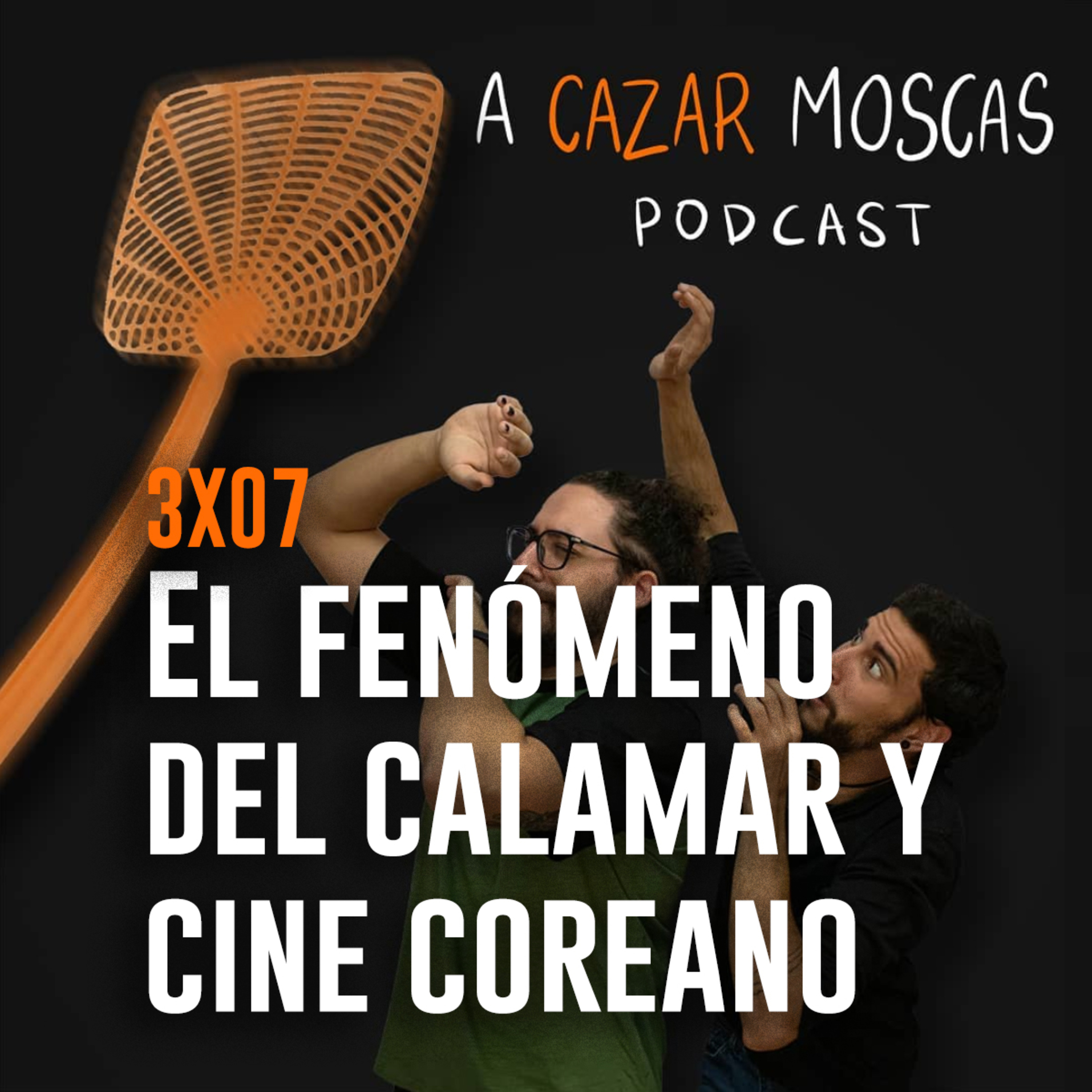 A Cazar Moscas