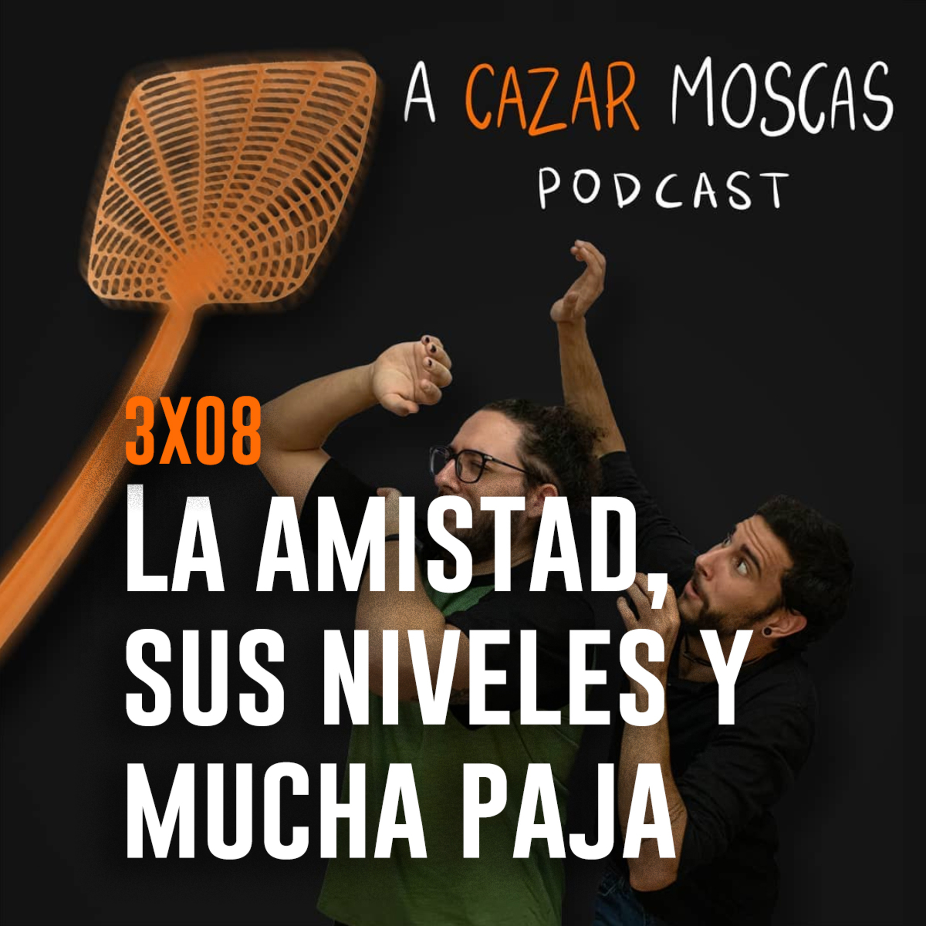 A Cazar Moscas