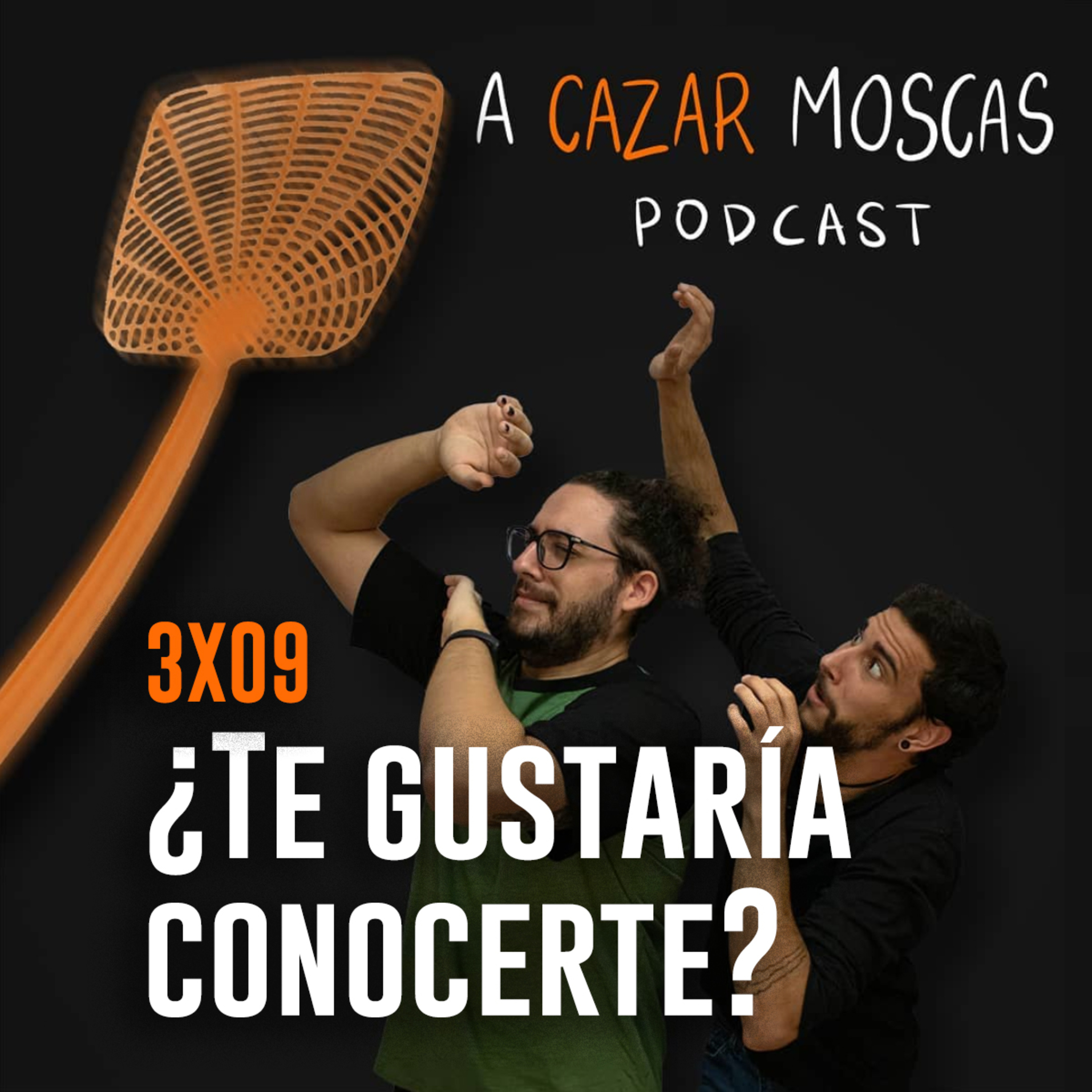 A Cazar Moscas