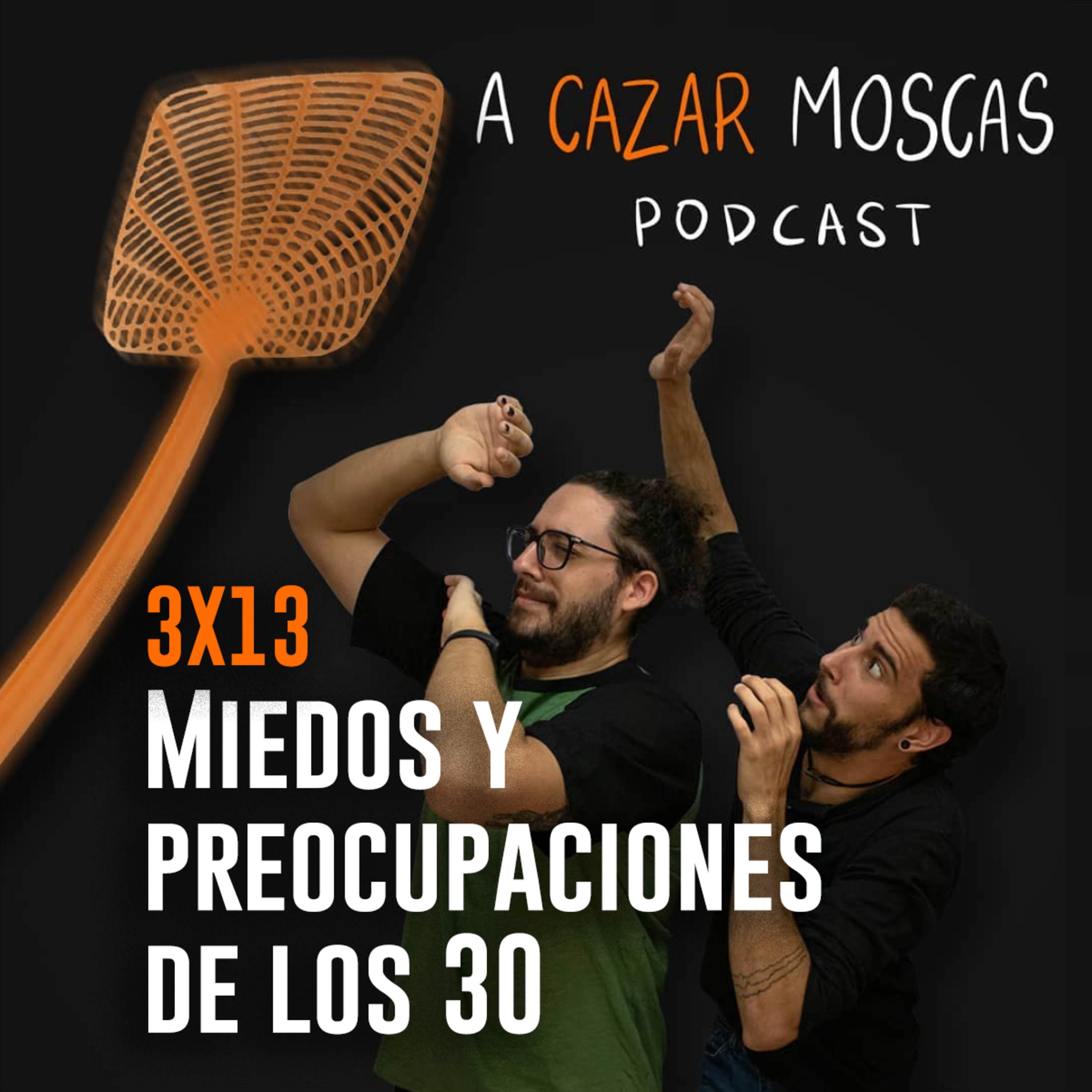 A Cazar Moscas