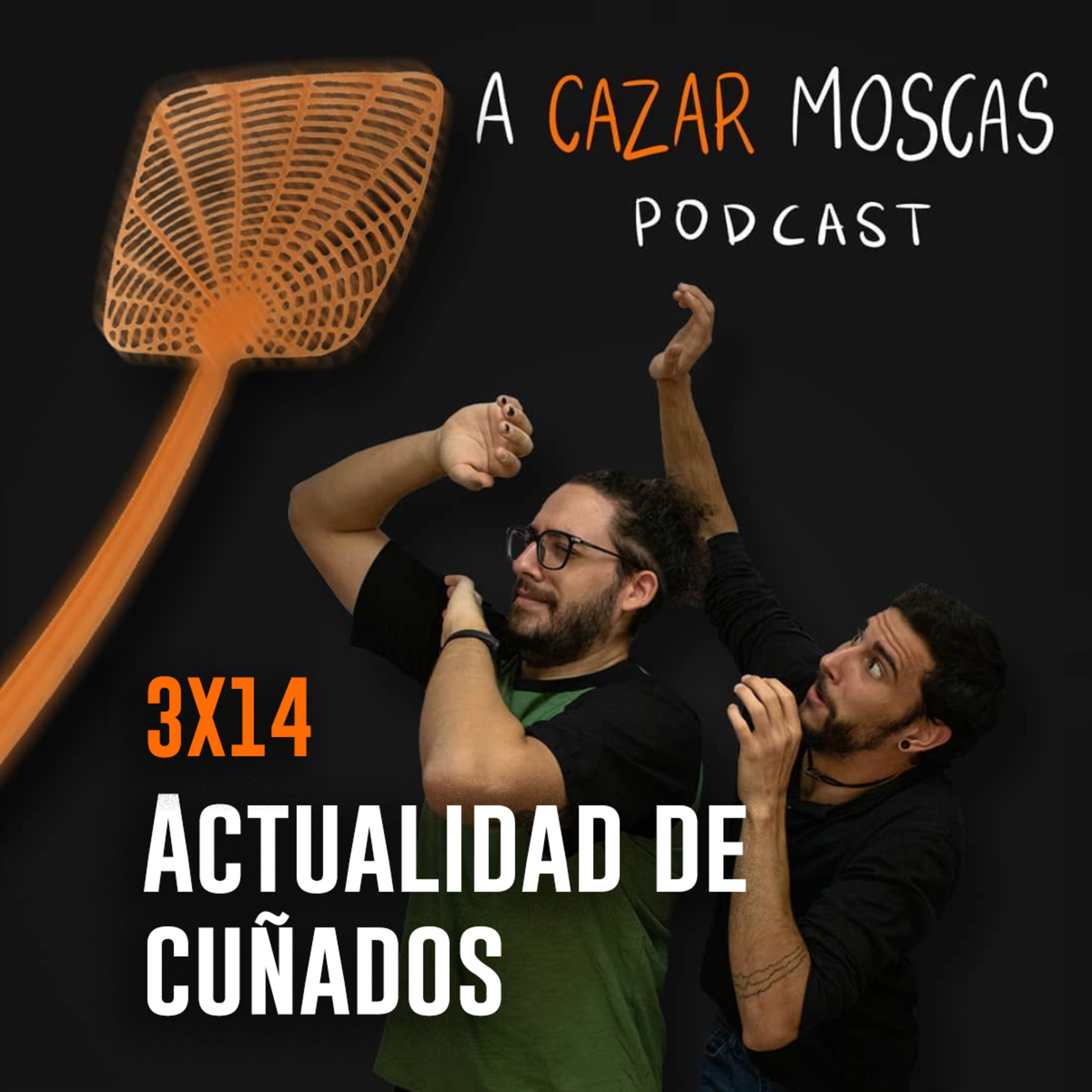 A Cazar Moscas