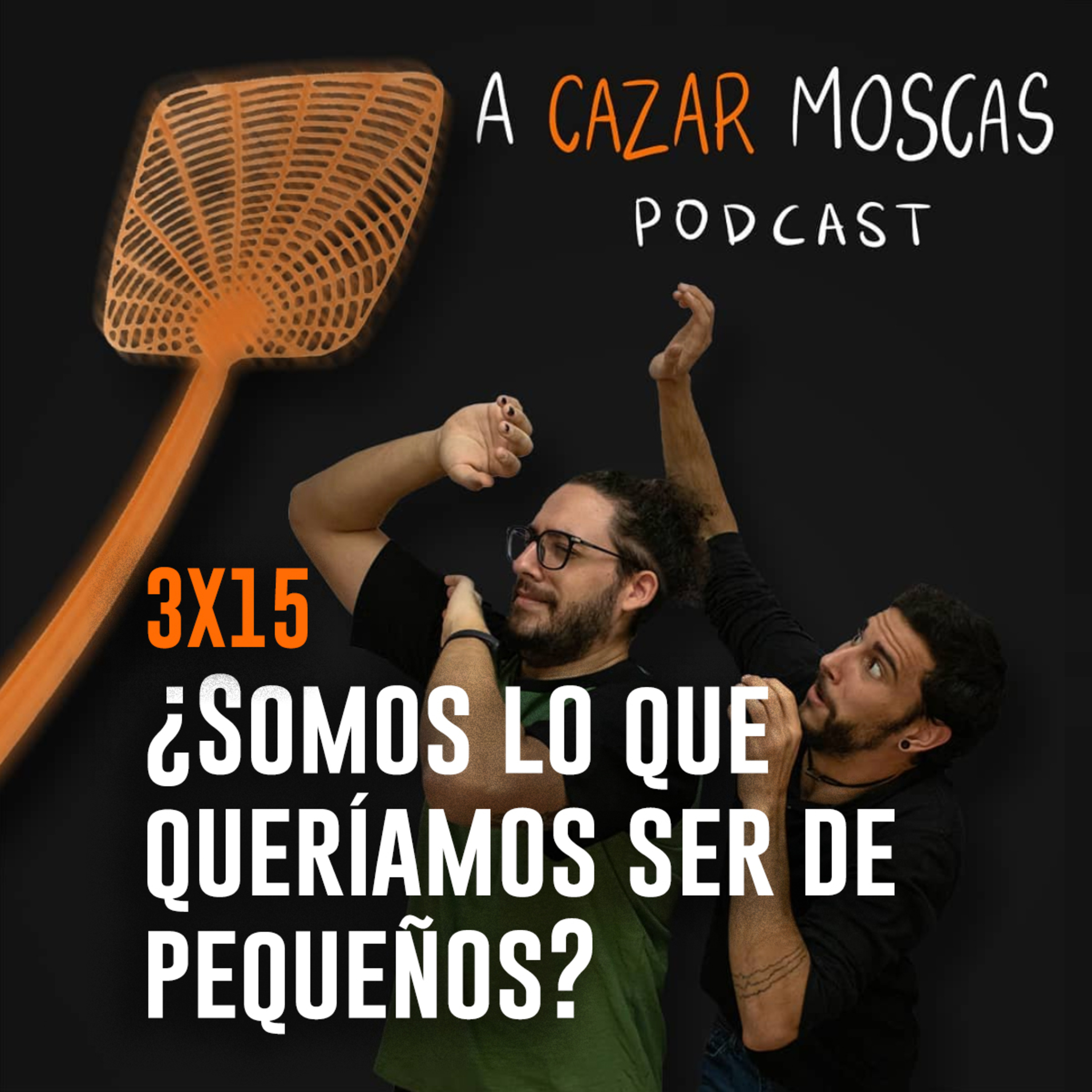 A Cazar Moscas