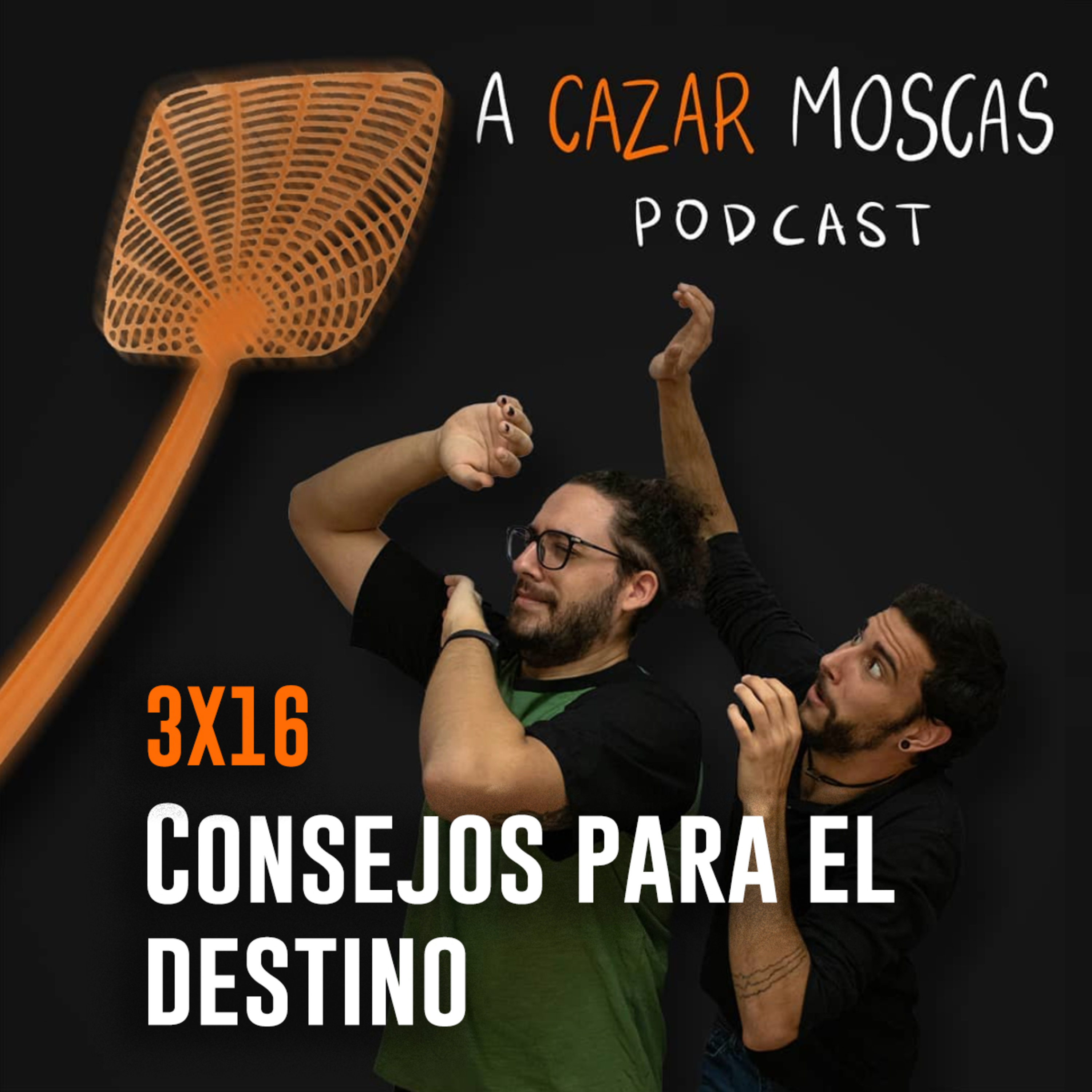 A Cazar Moscas