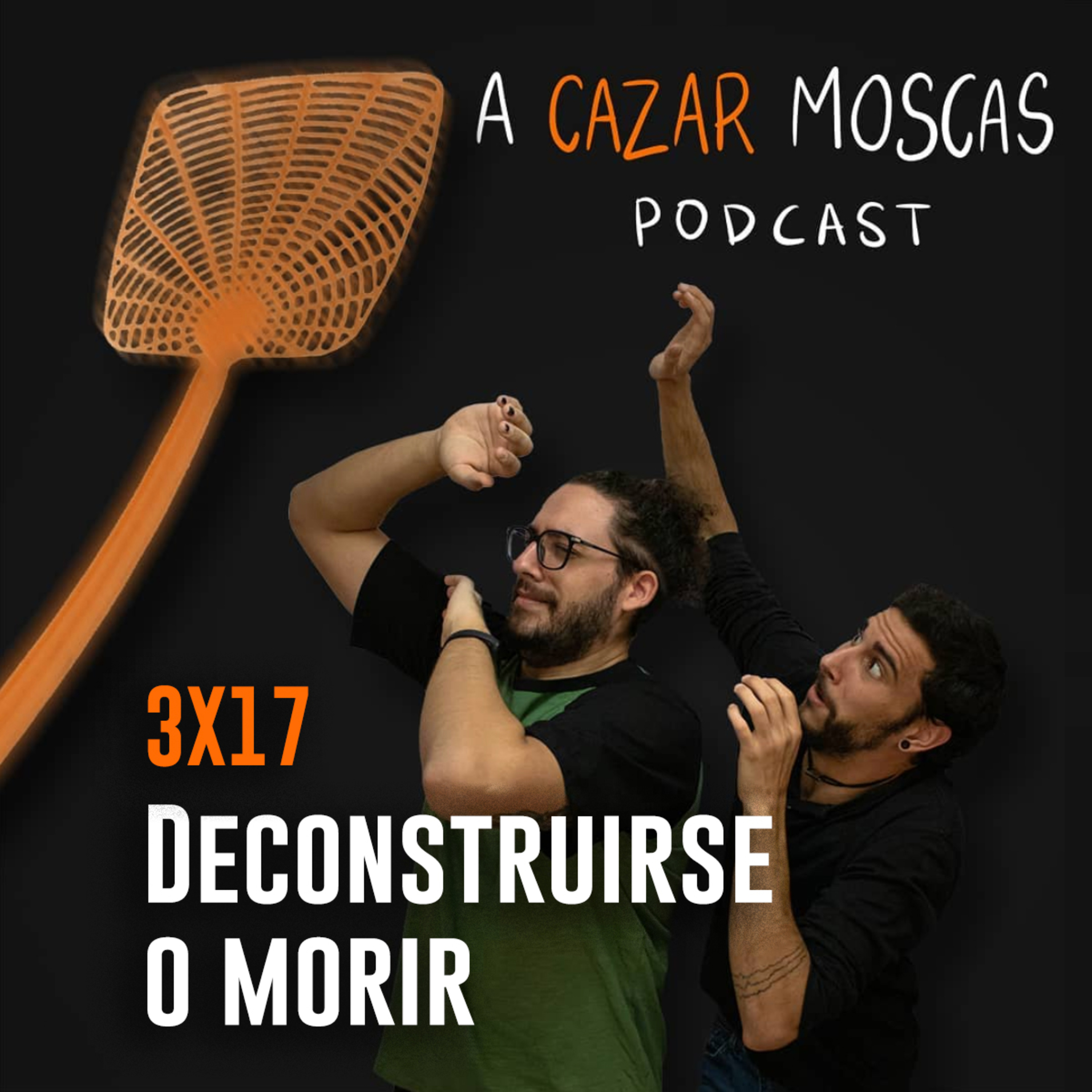 A Cazar Moscas
