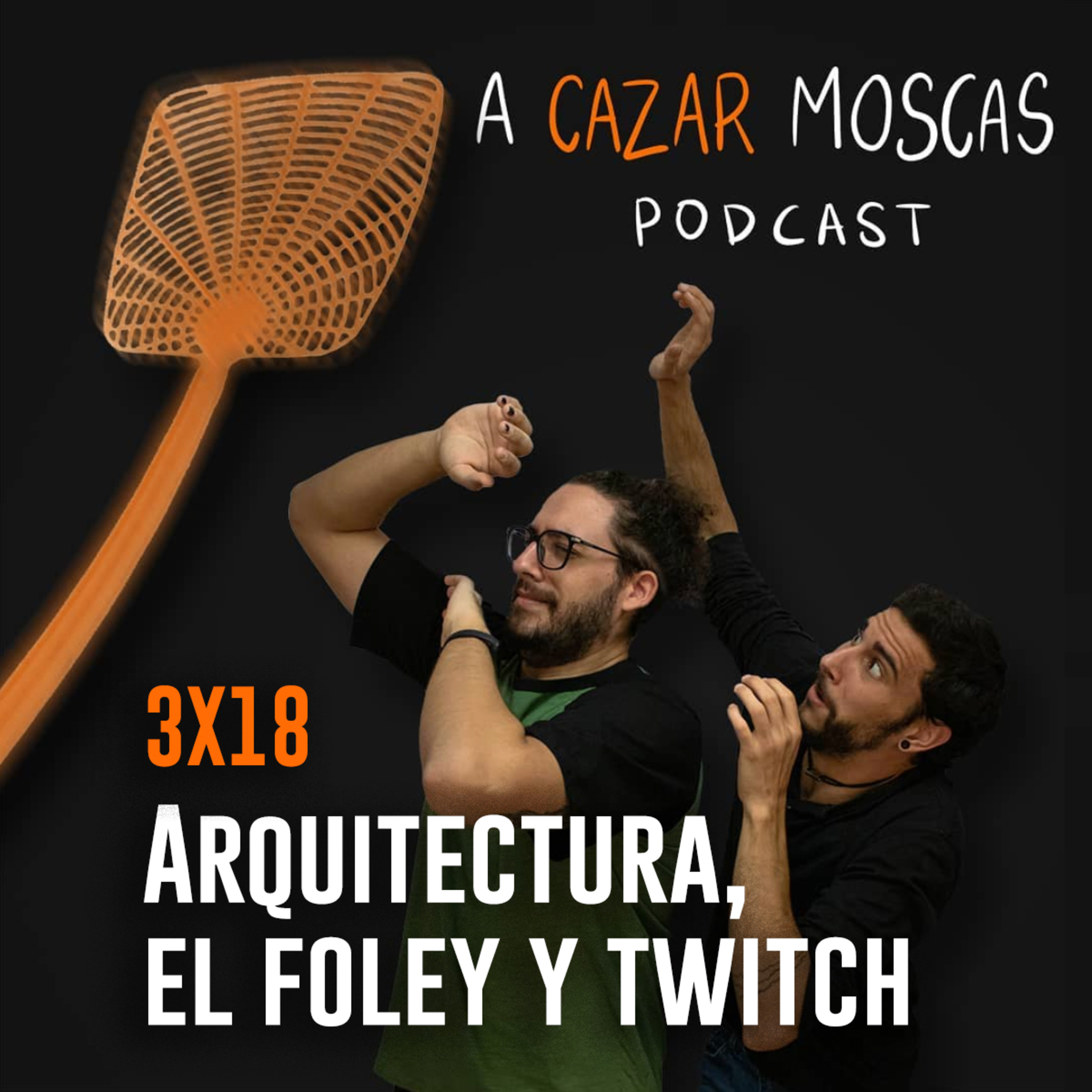 A Cazar Moscas