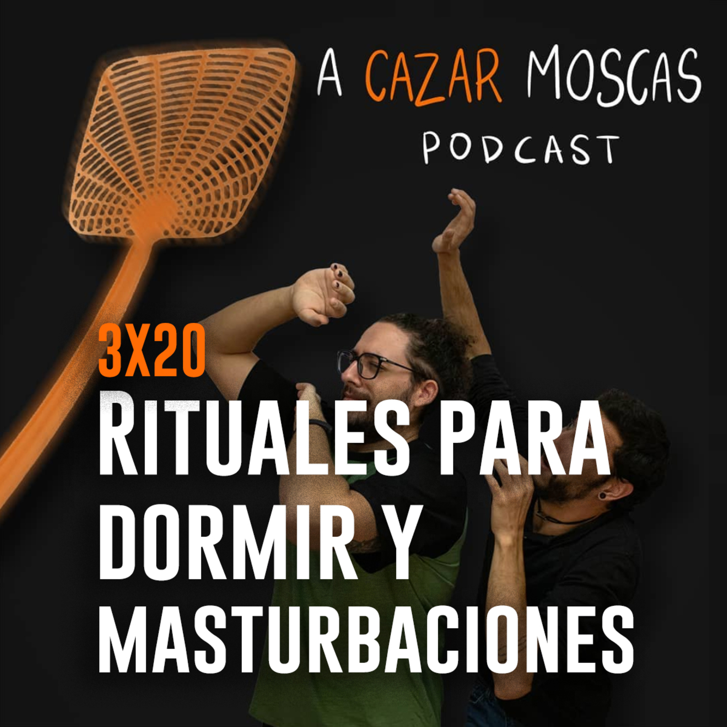 A Cazar Moscas