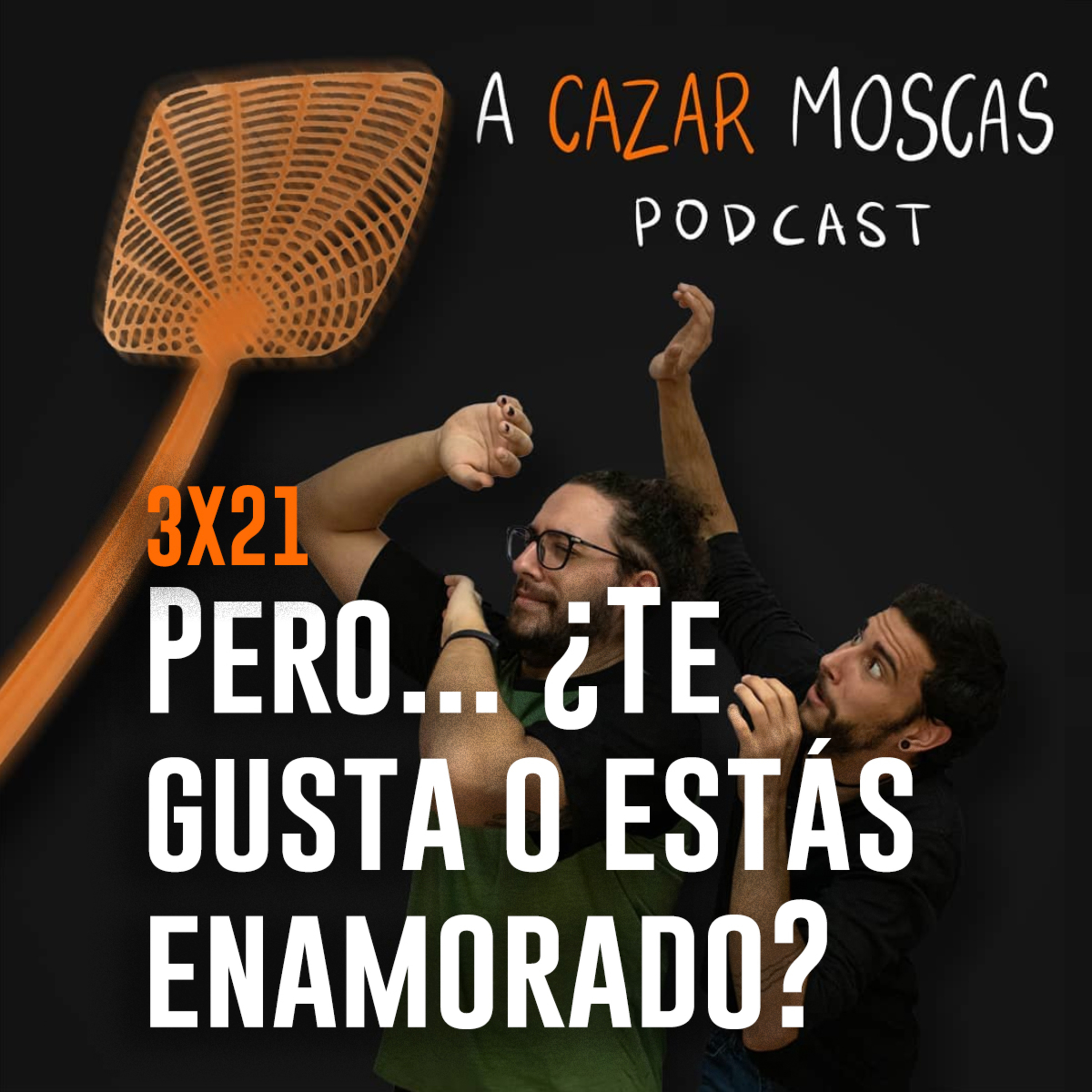 A Cazar Moscas