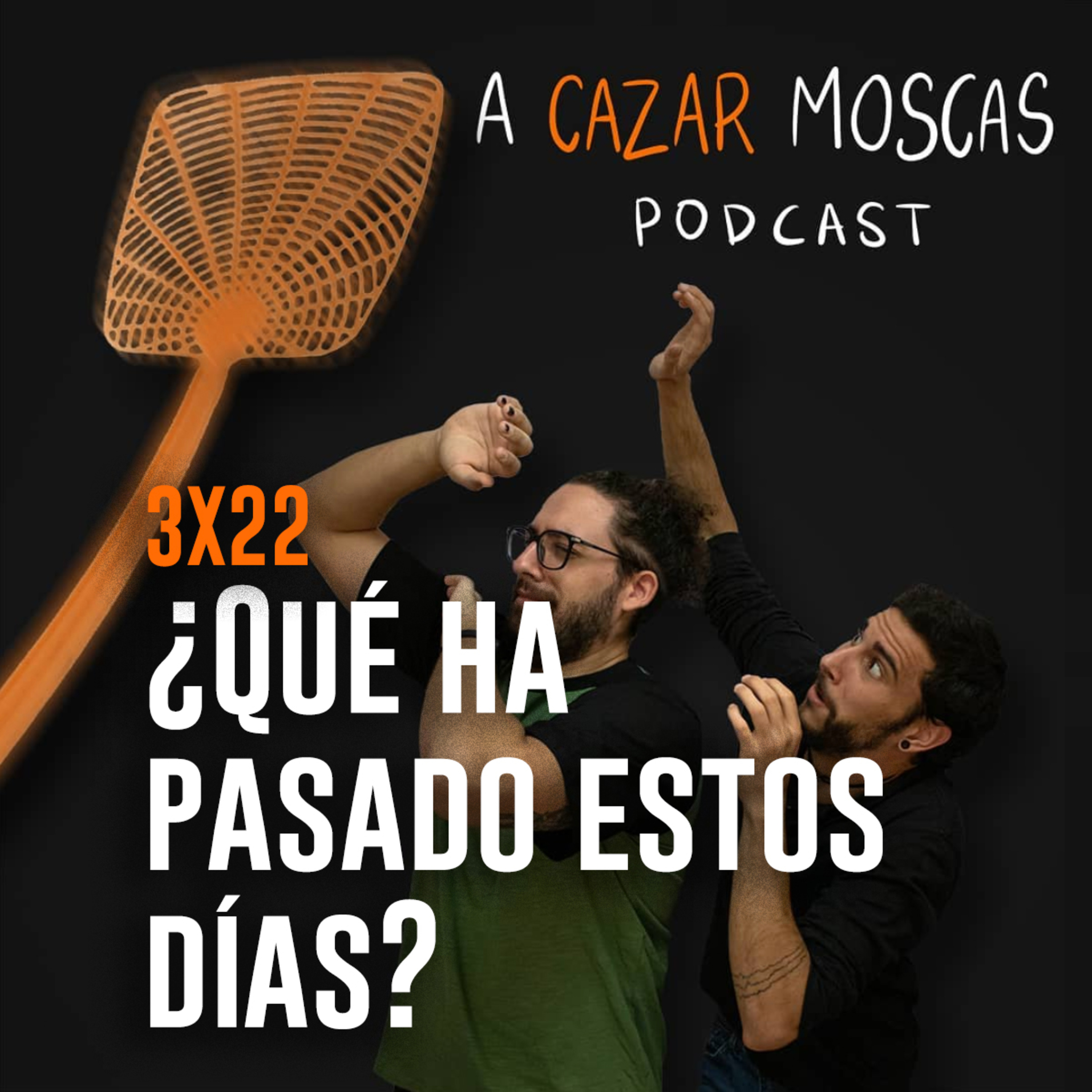 A Cazar Moscas