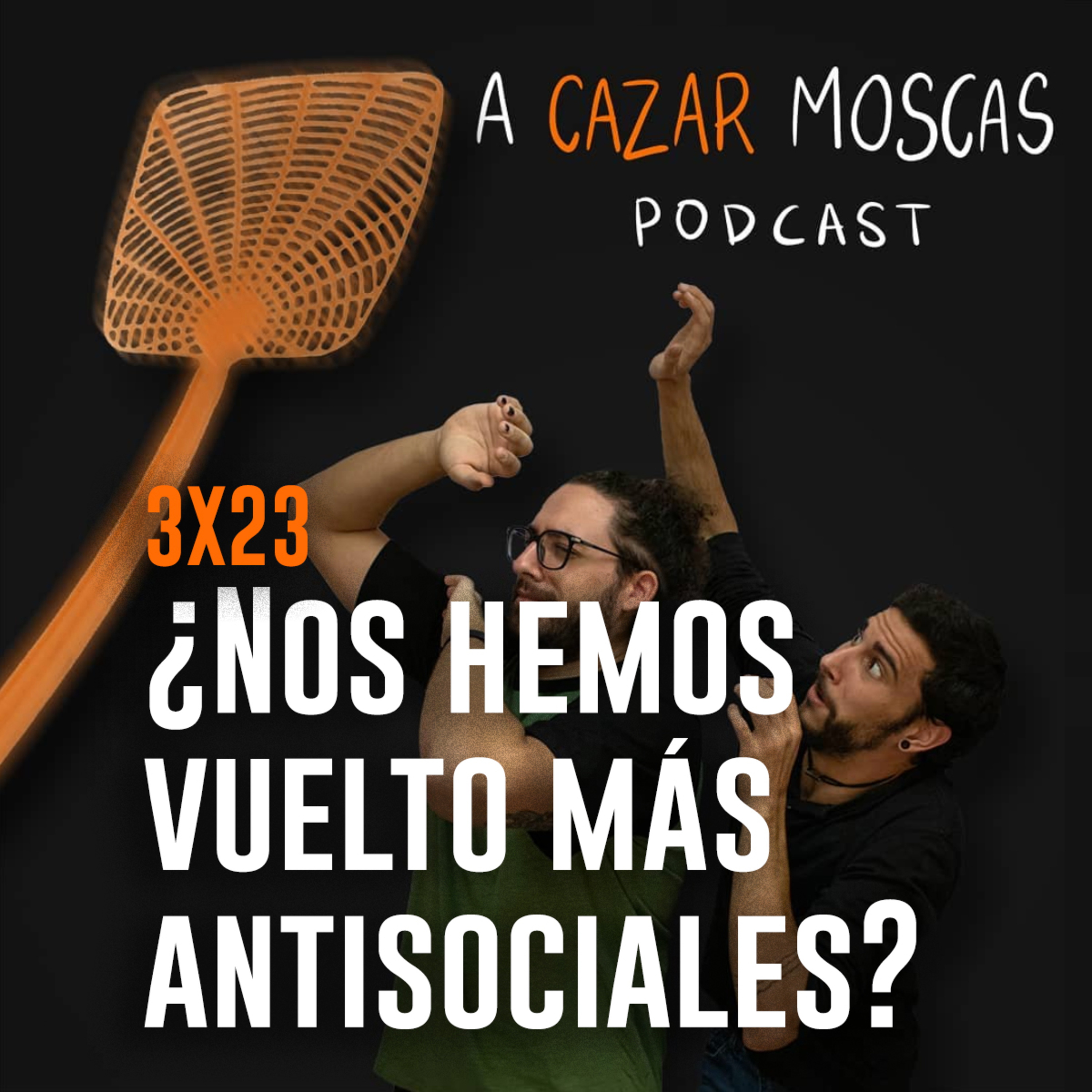 A Cazar Moscas