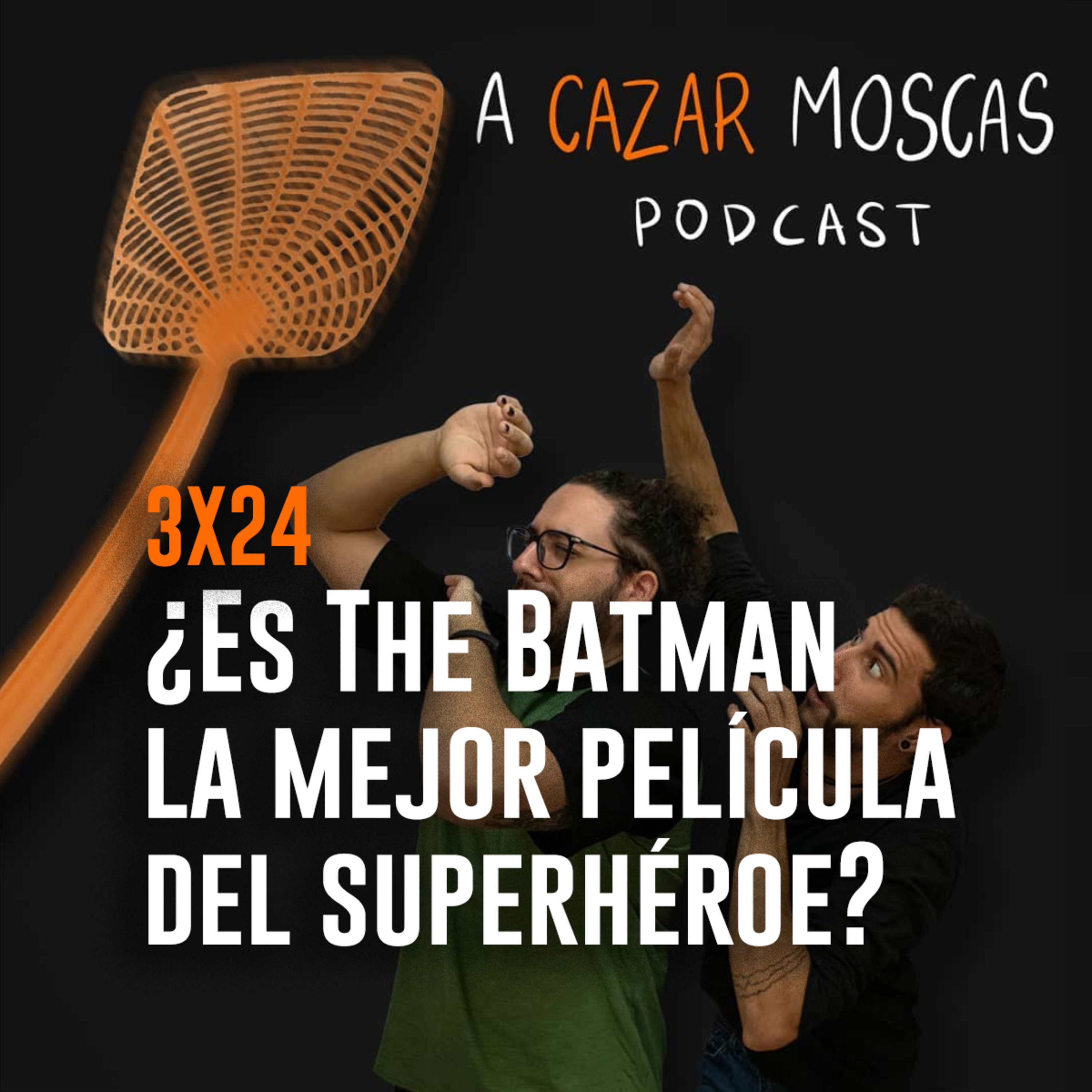 A Cazar Moscas