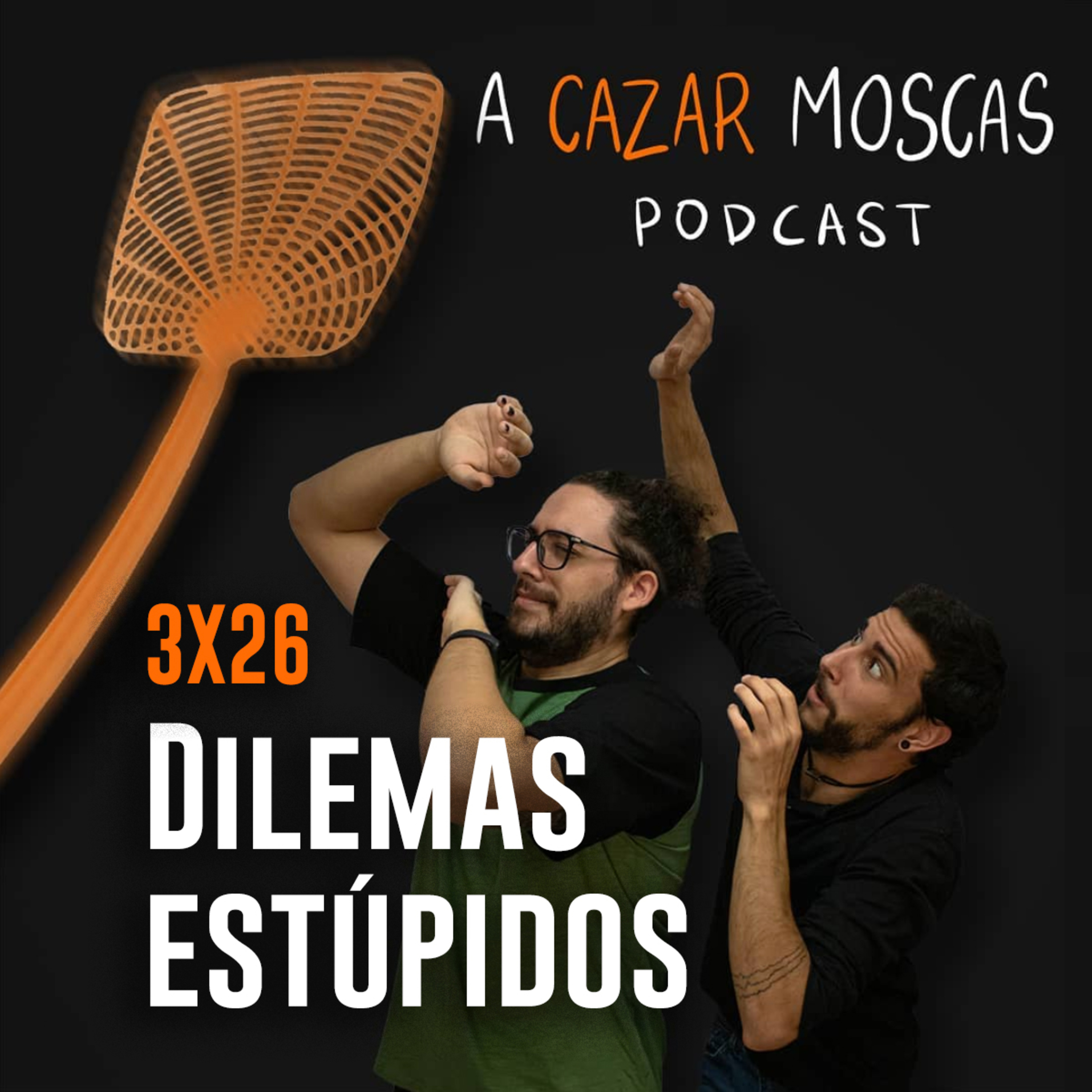 A Cazar Moscas