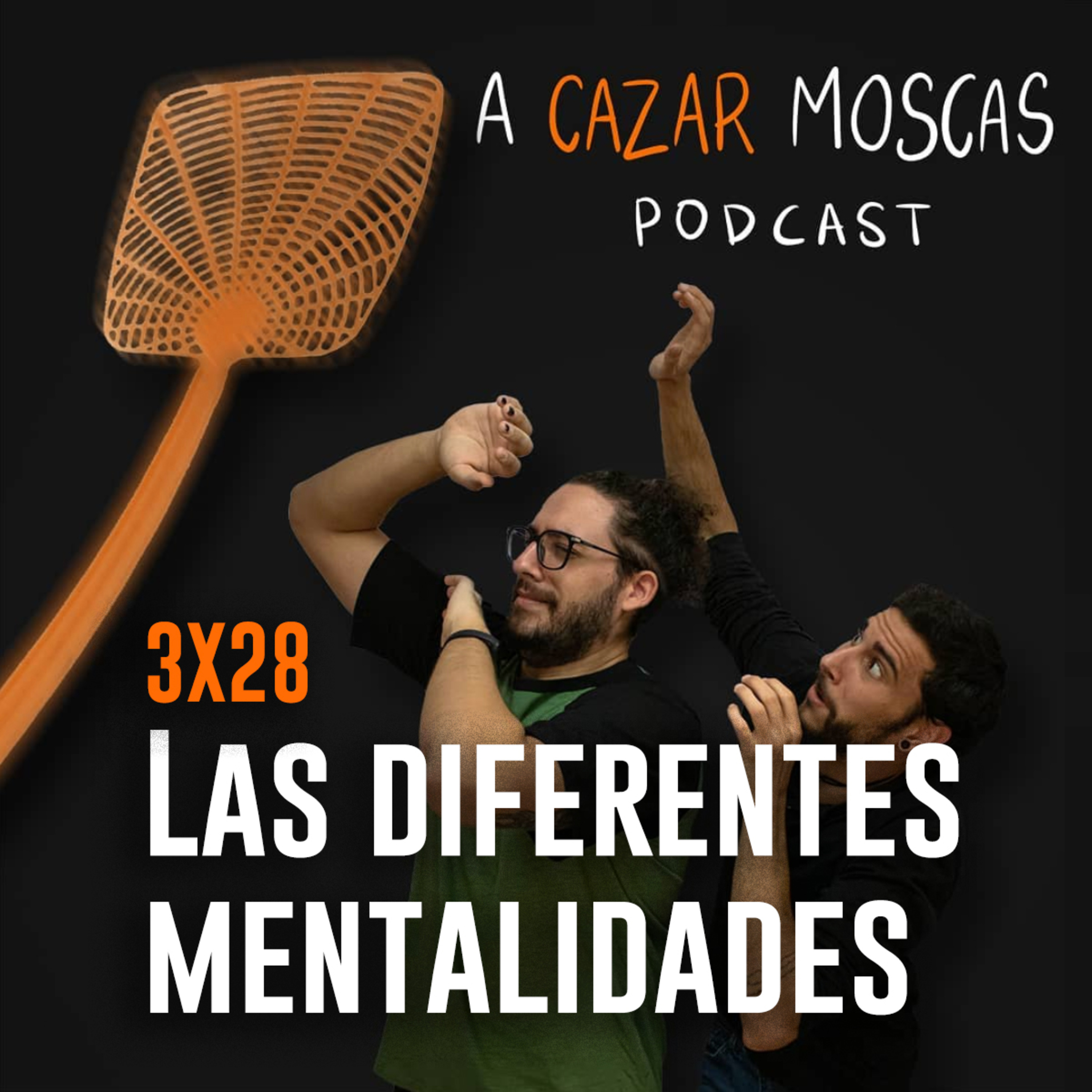 A Cazar Moscas