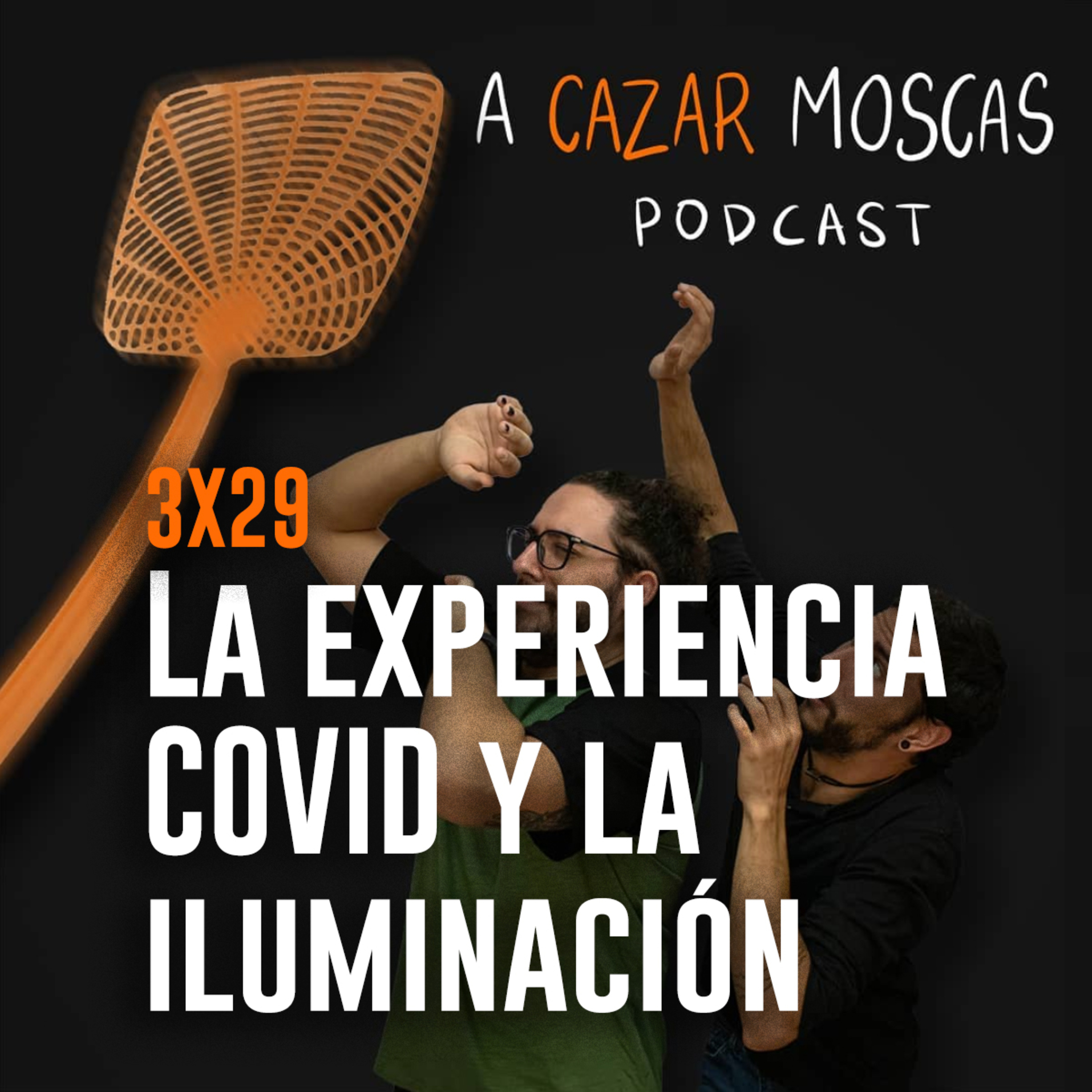 A Cazar Moscas