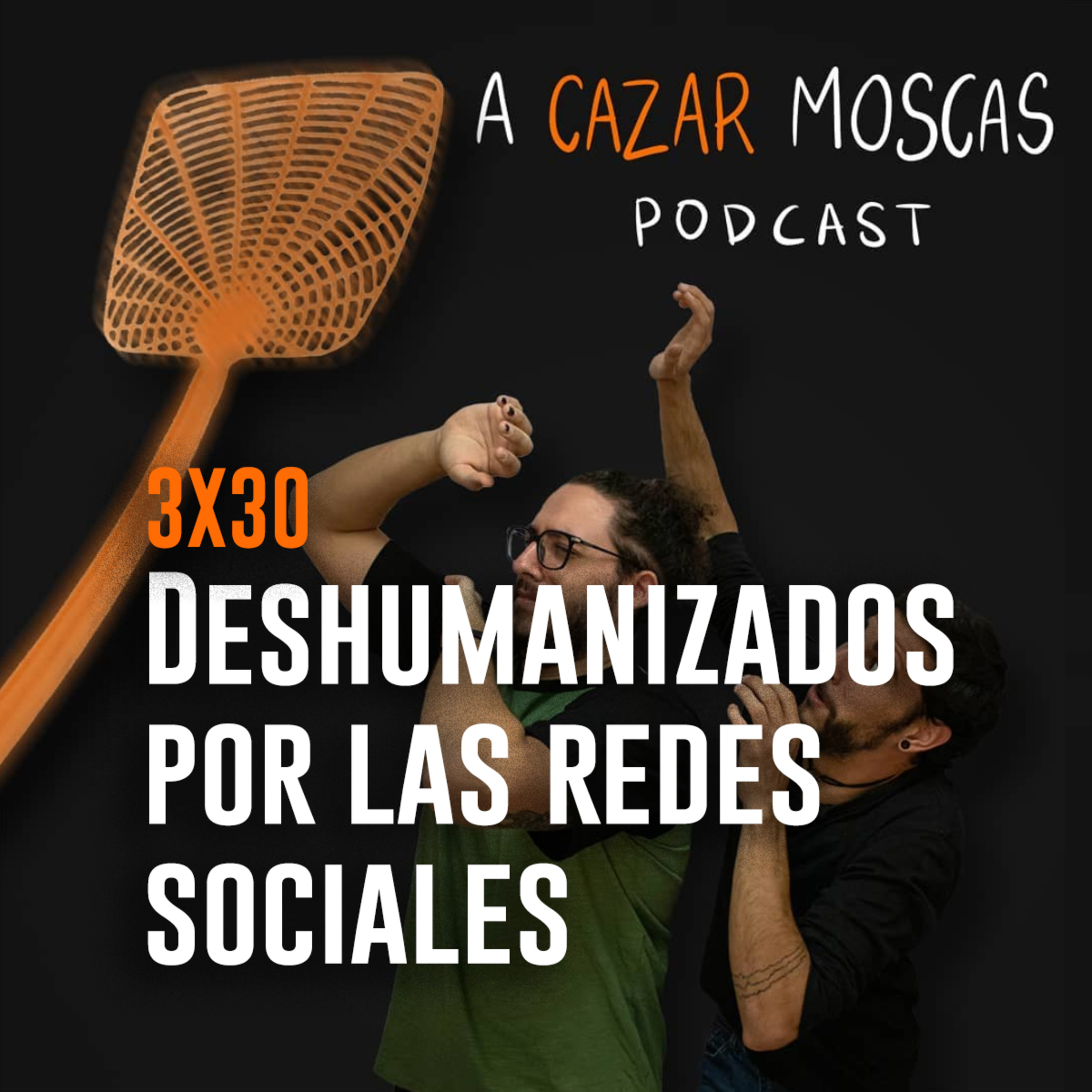 A Cazar Moscas
