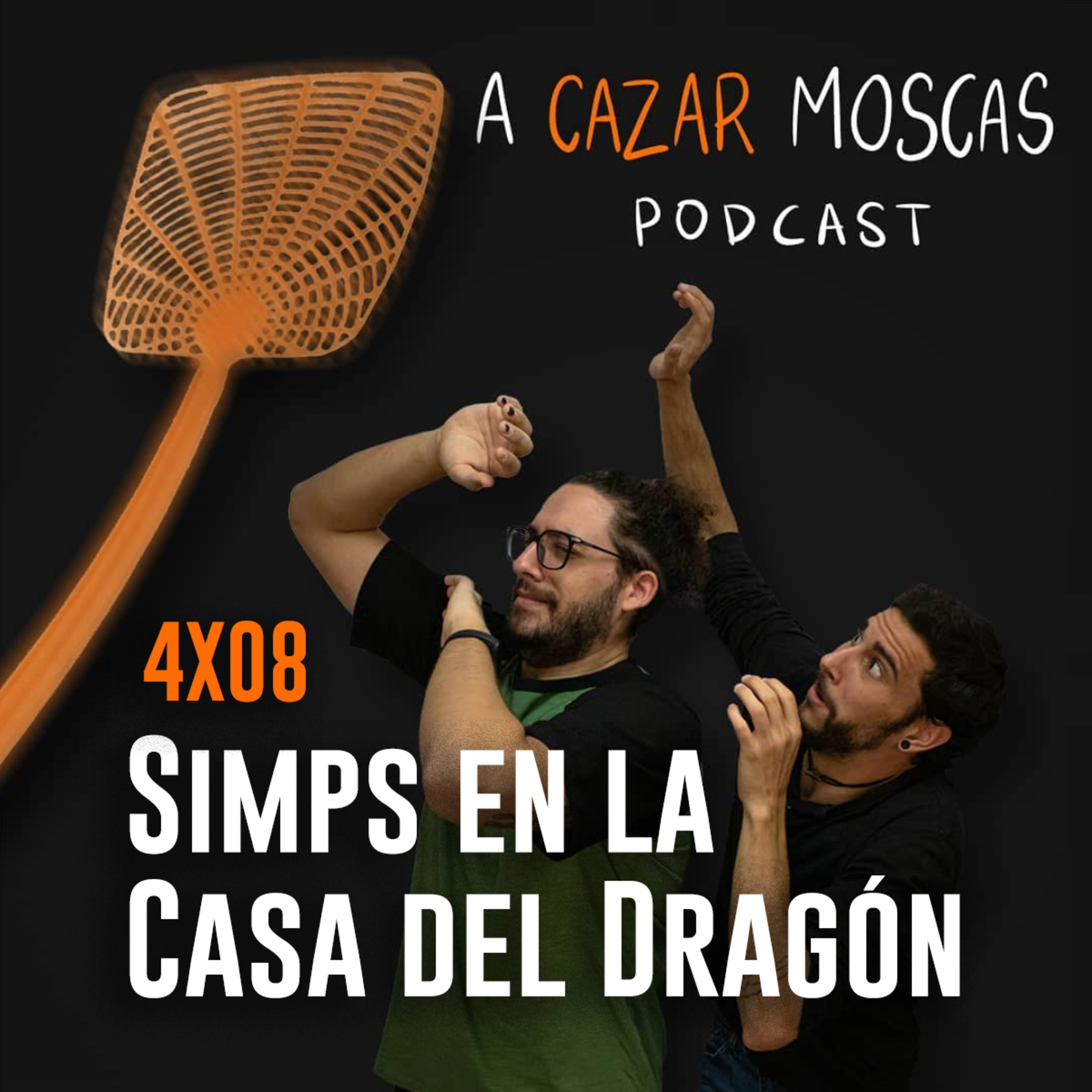 A Cazar Moscas