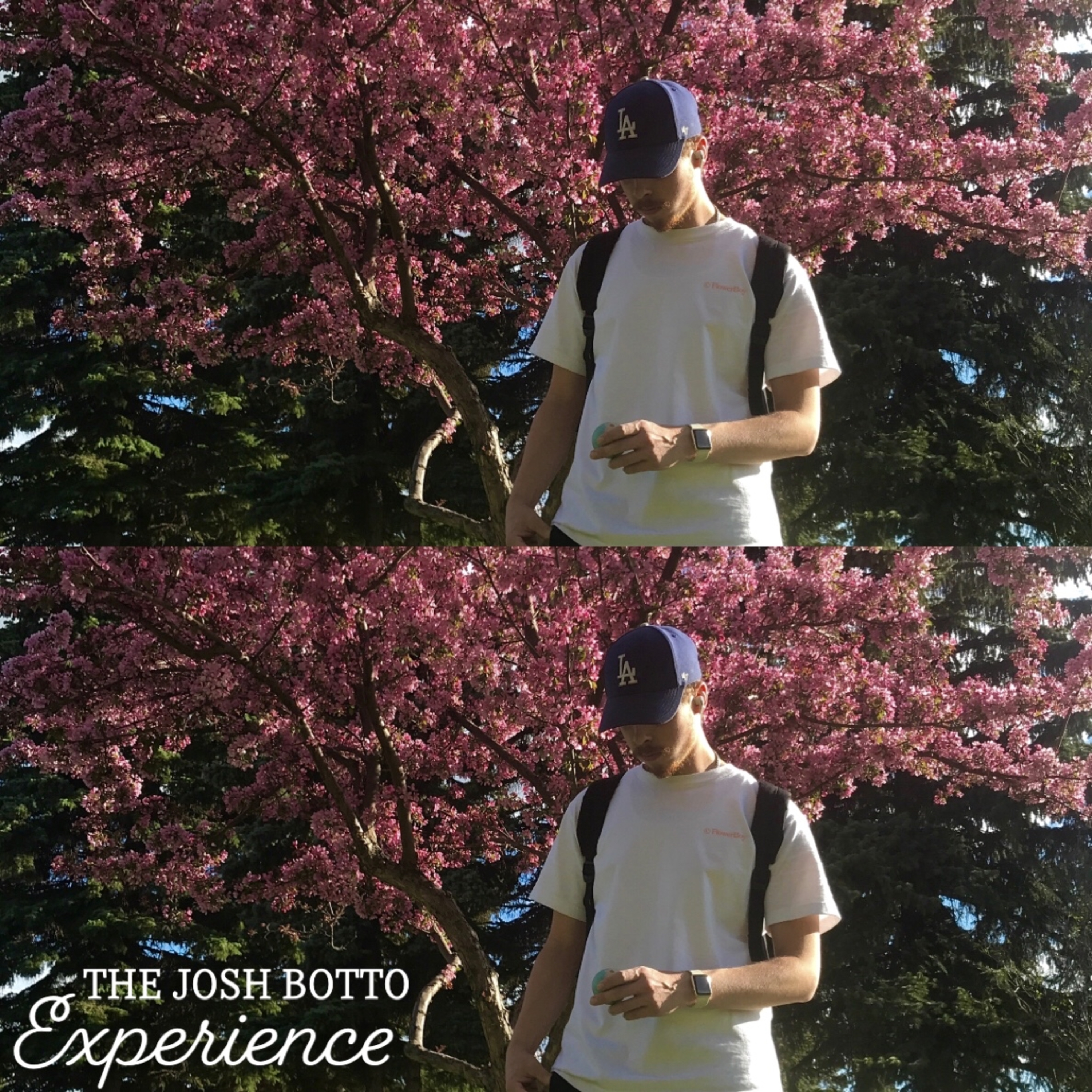 The Josh Botto Experience