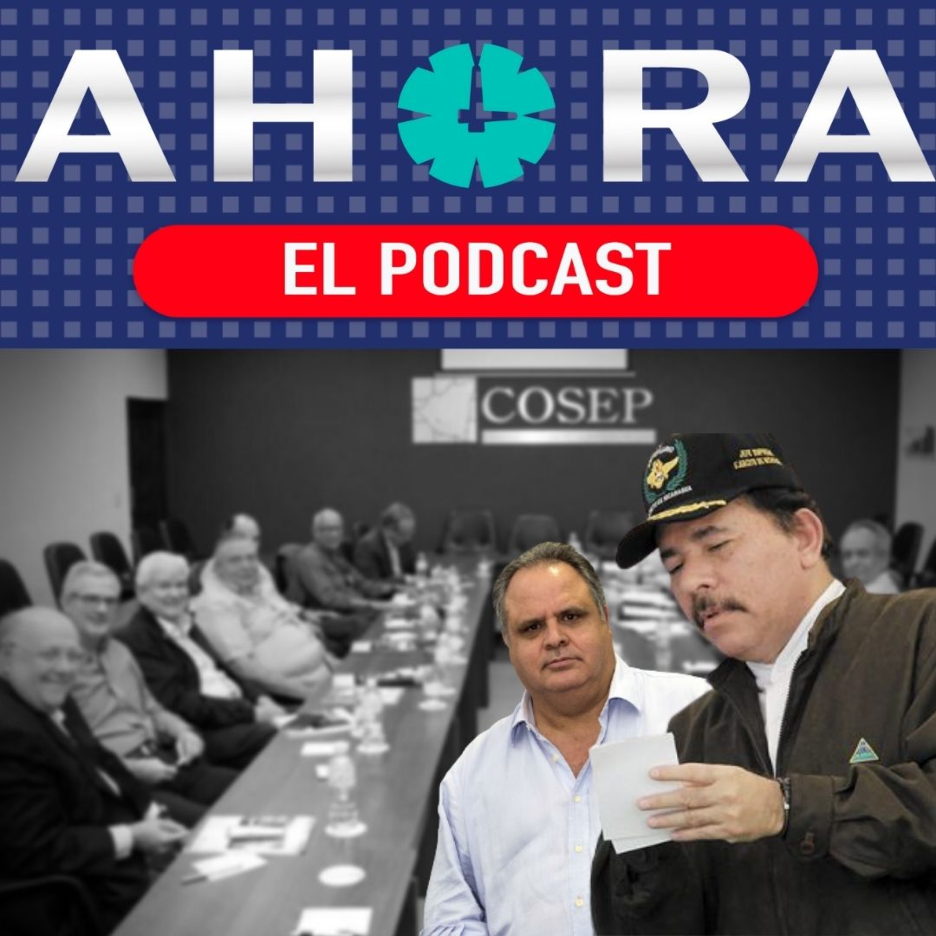 Artículo 66