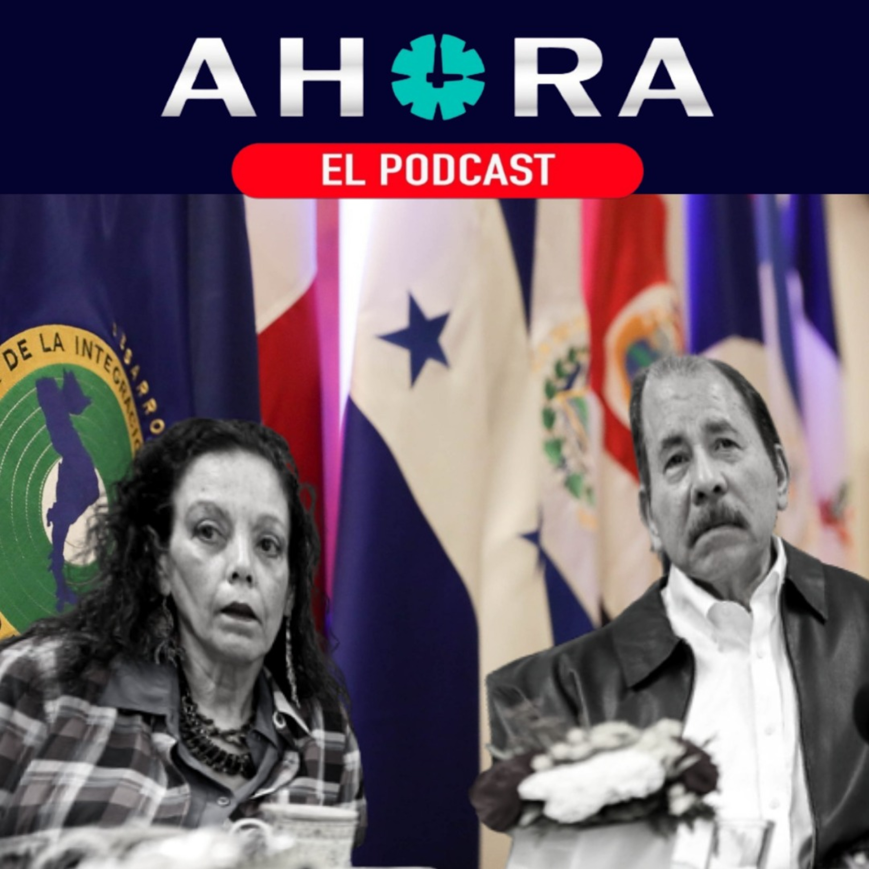 Artículo 66