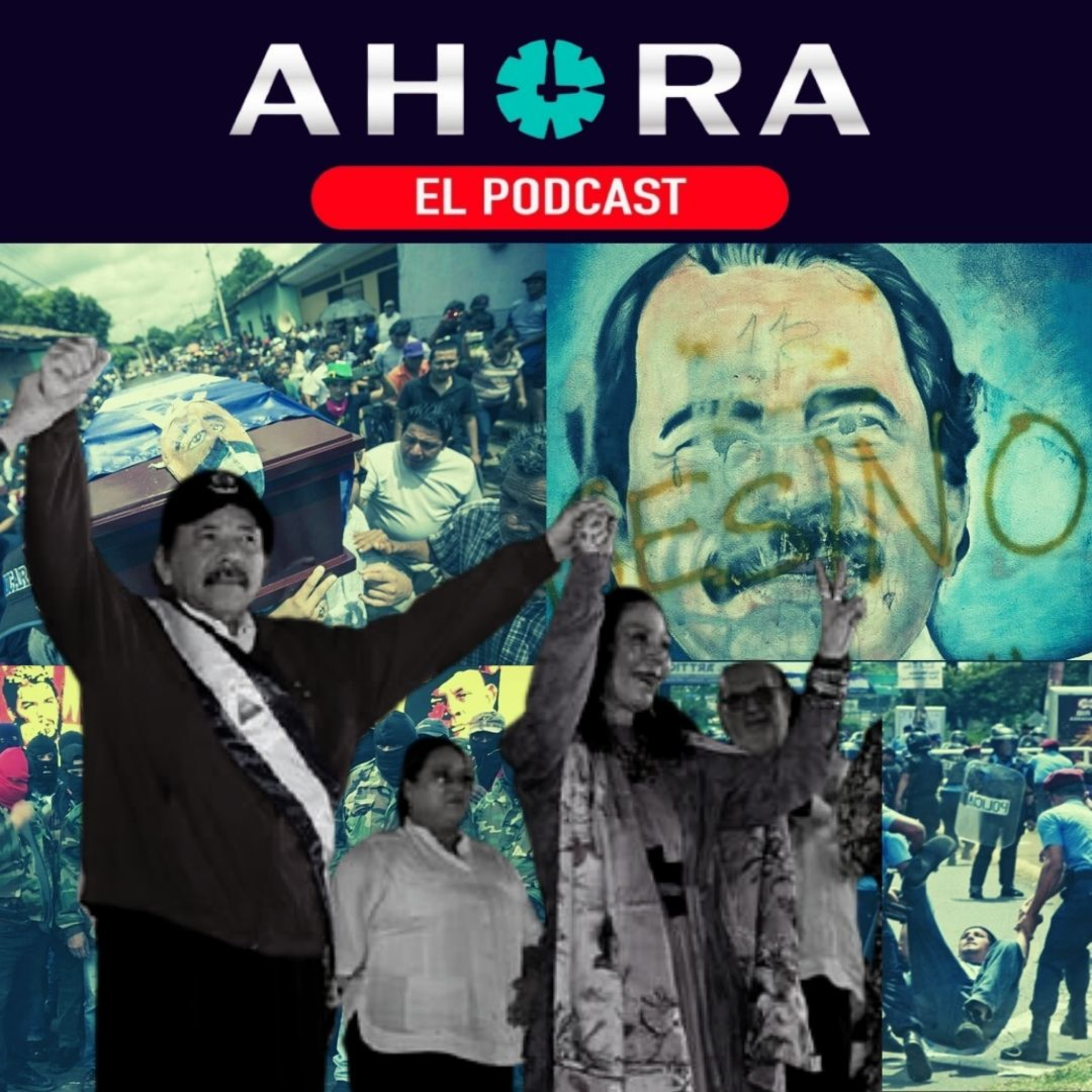 Artículo 66