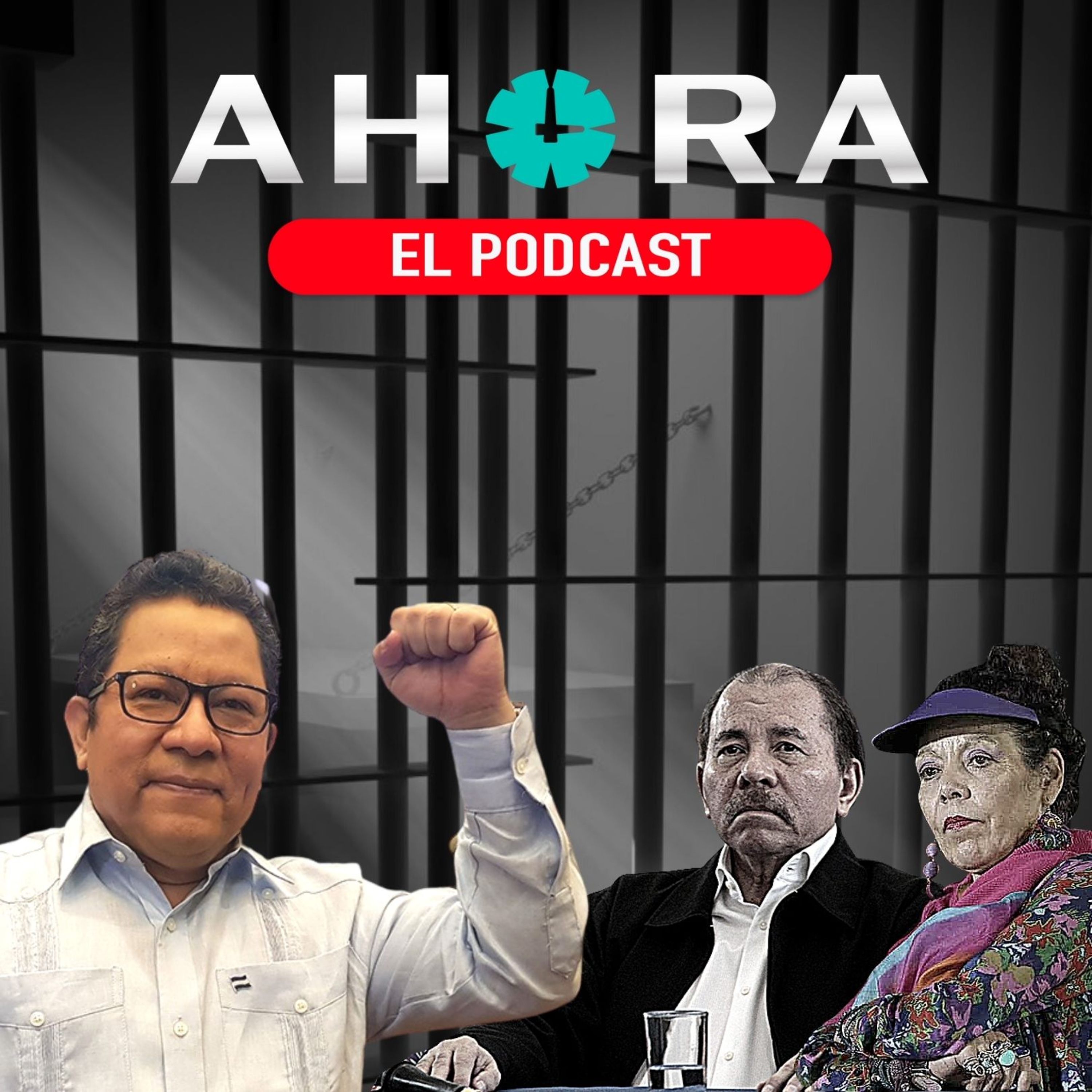 Artículo 66