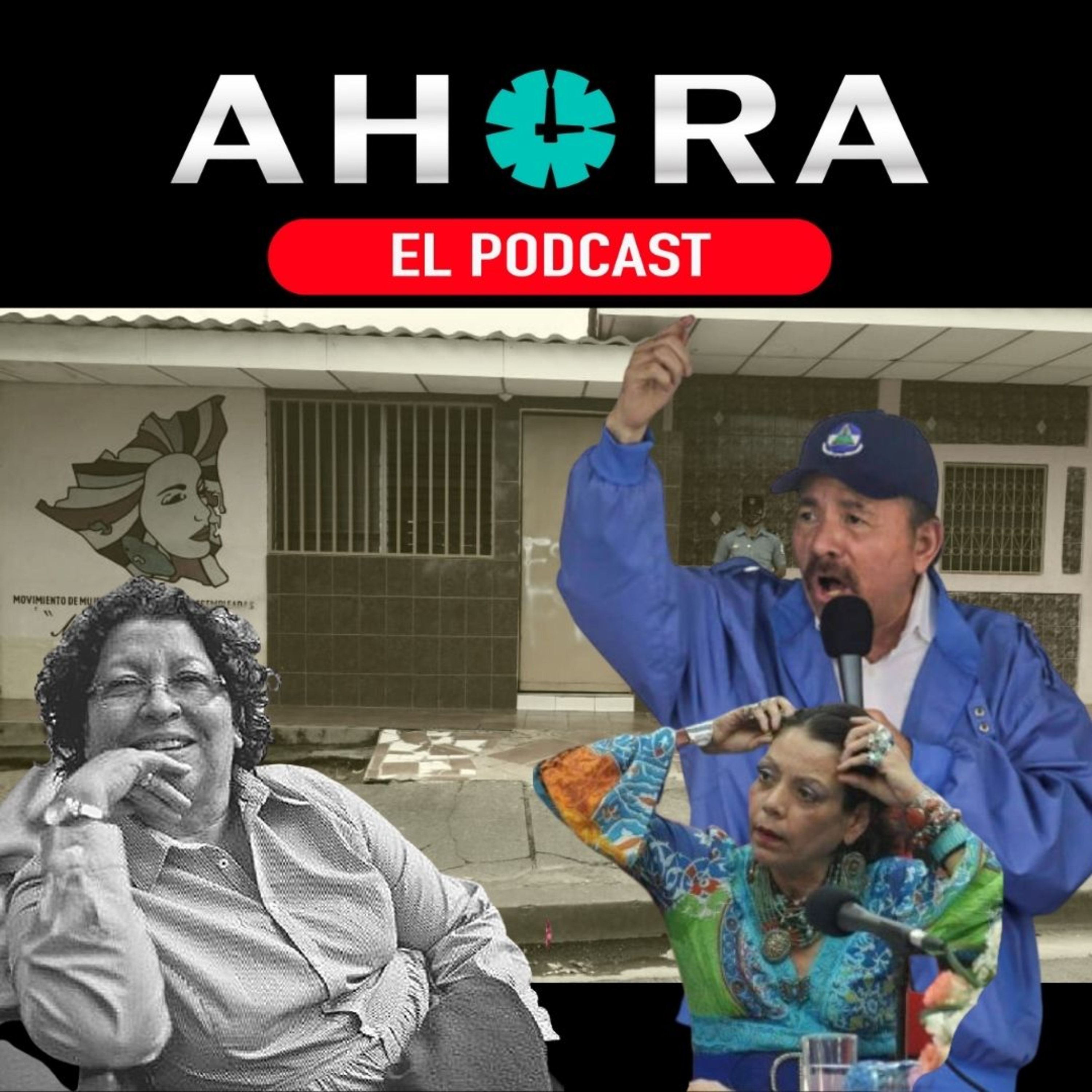 Artículo 66