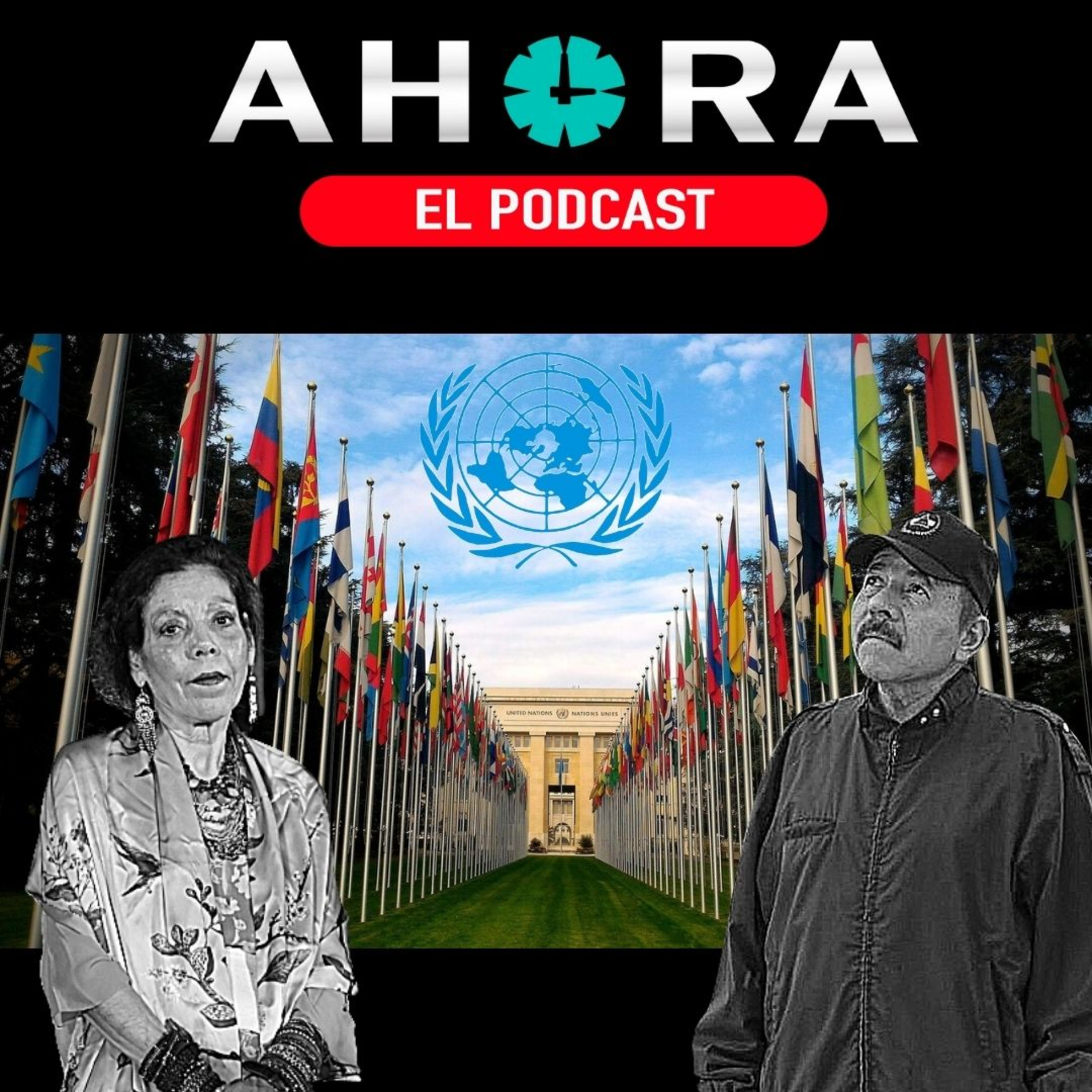 Artículo 66