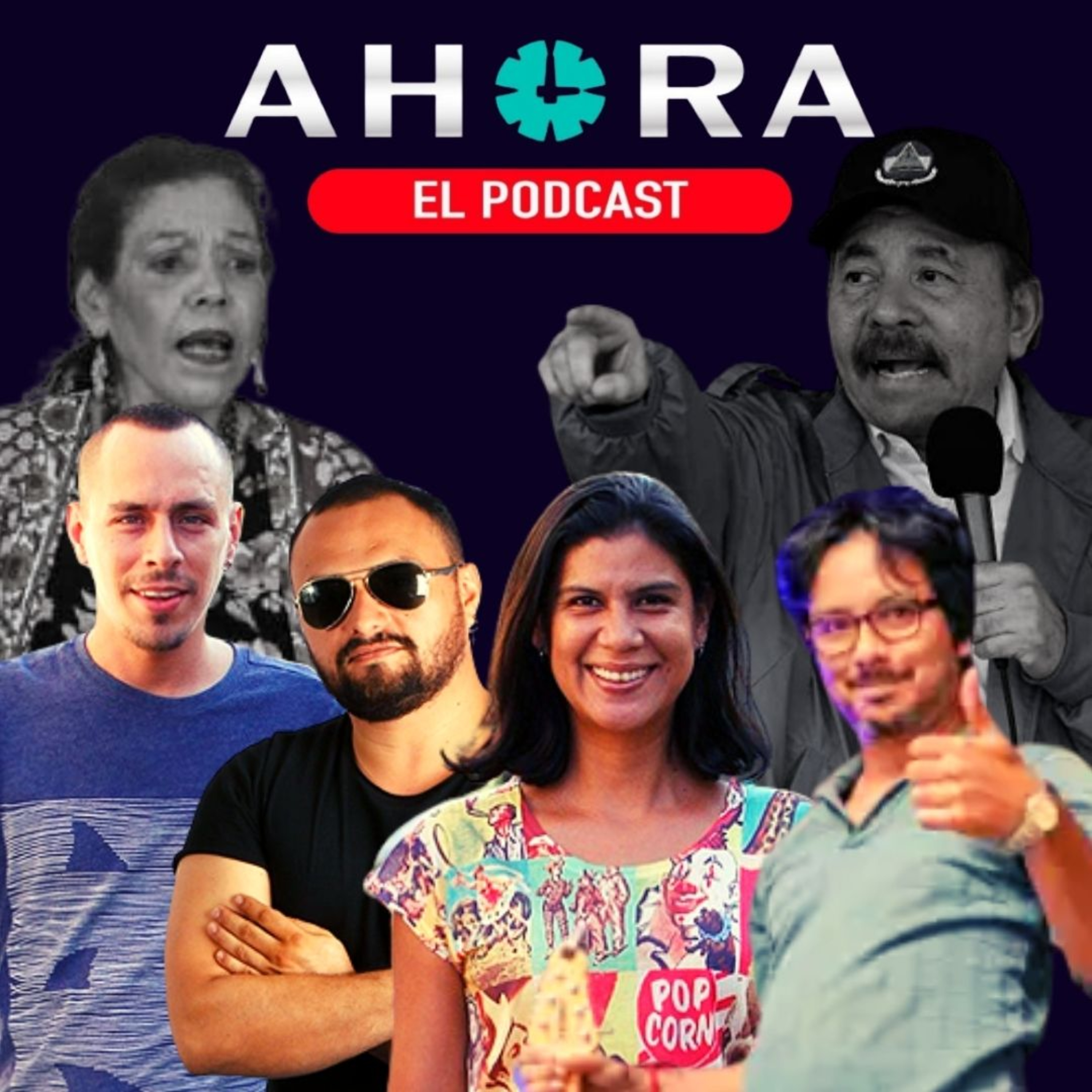 Artículo 66