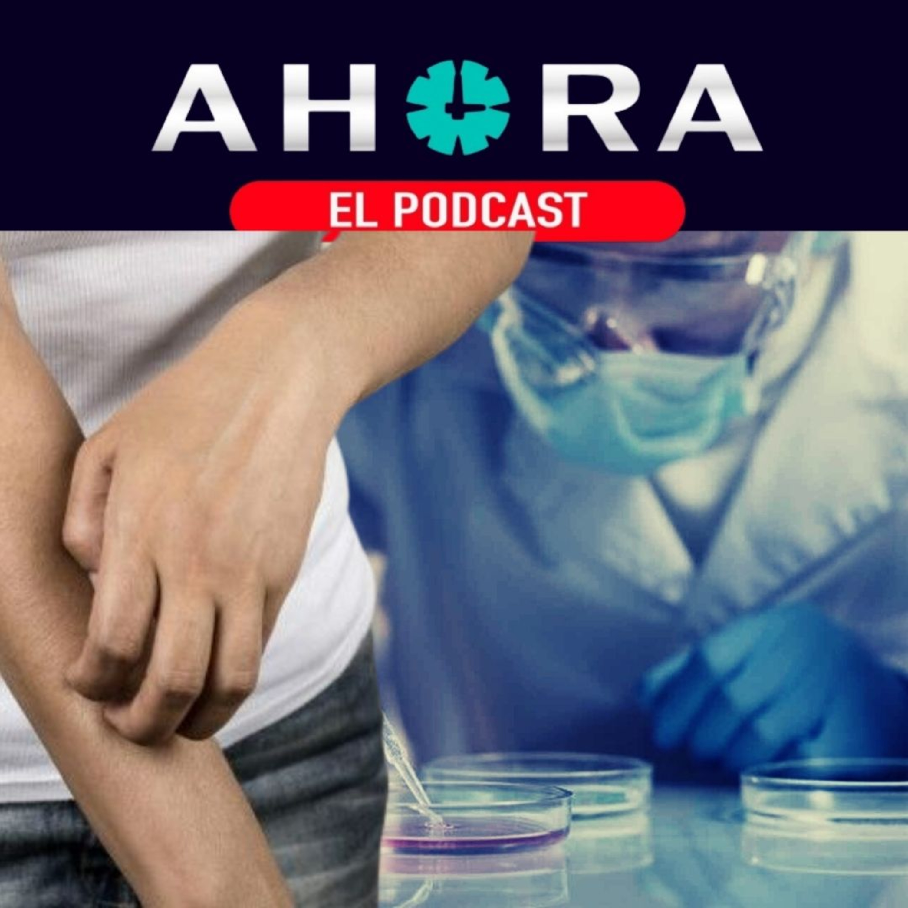 Portada de Artículo 66