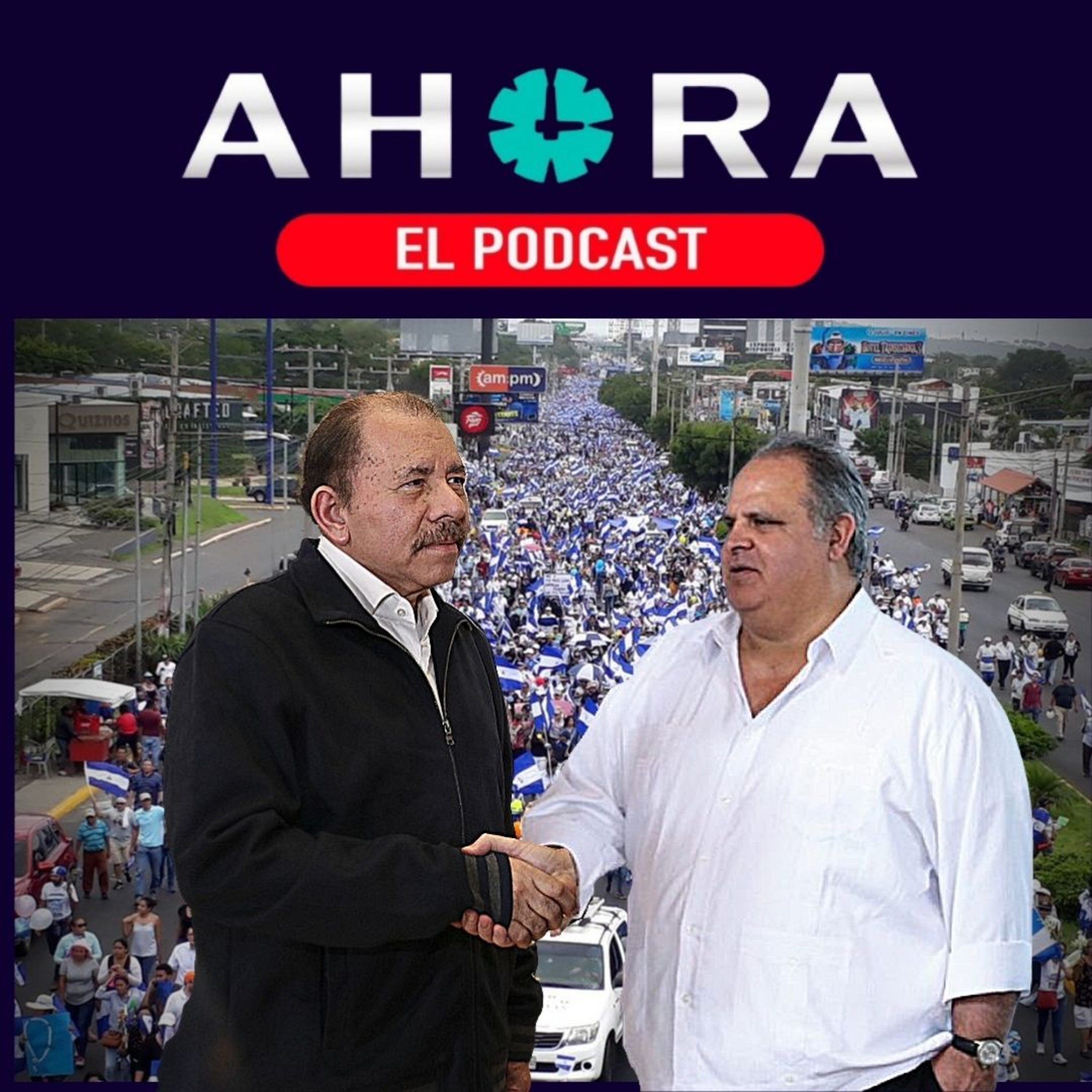 Artículo 66