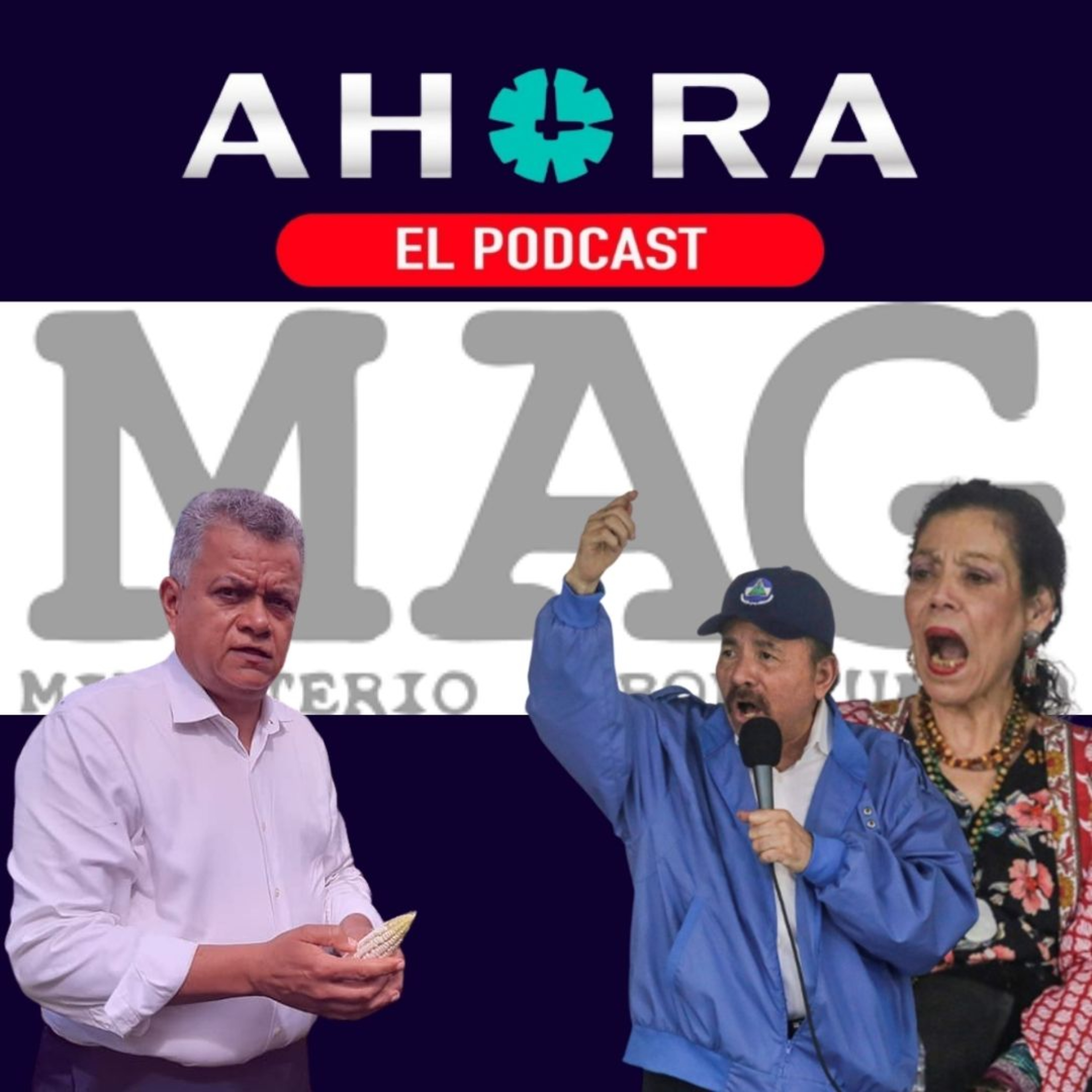 Artículo 66