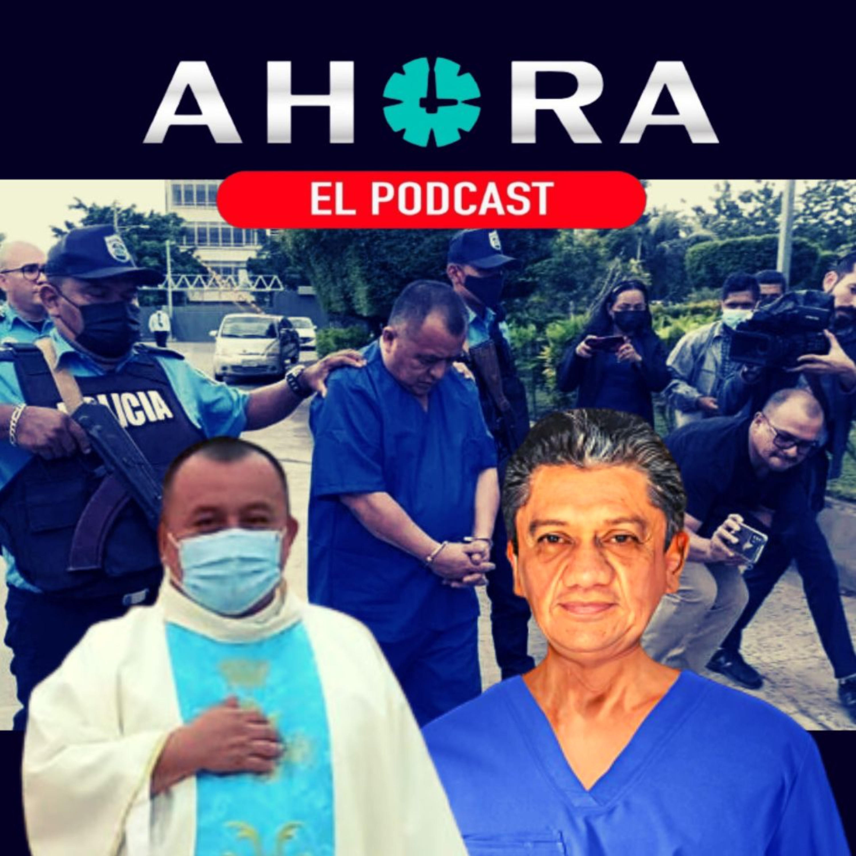 Artículo 66