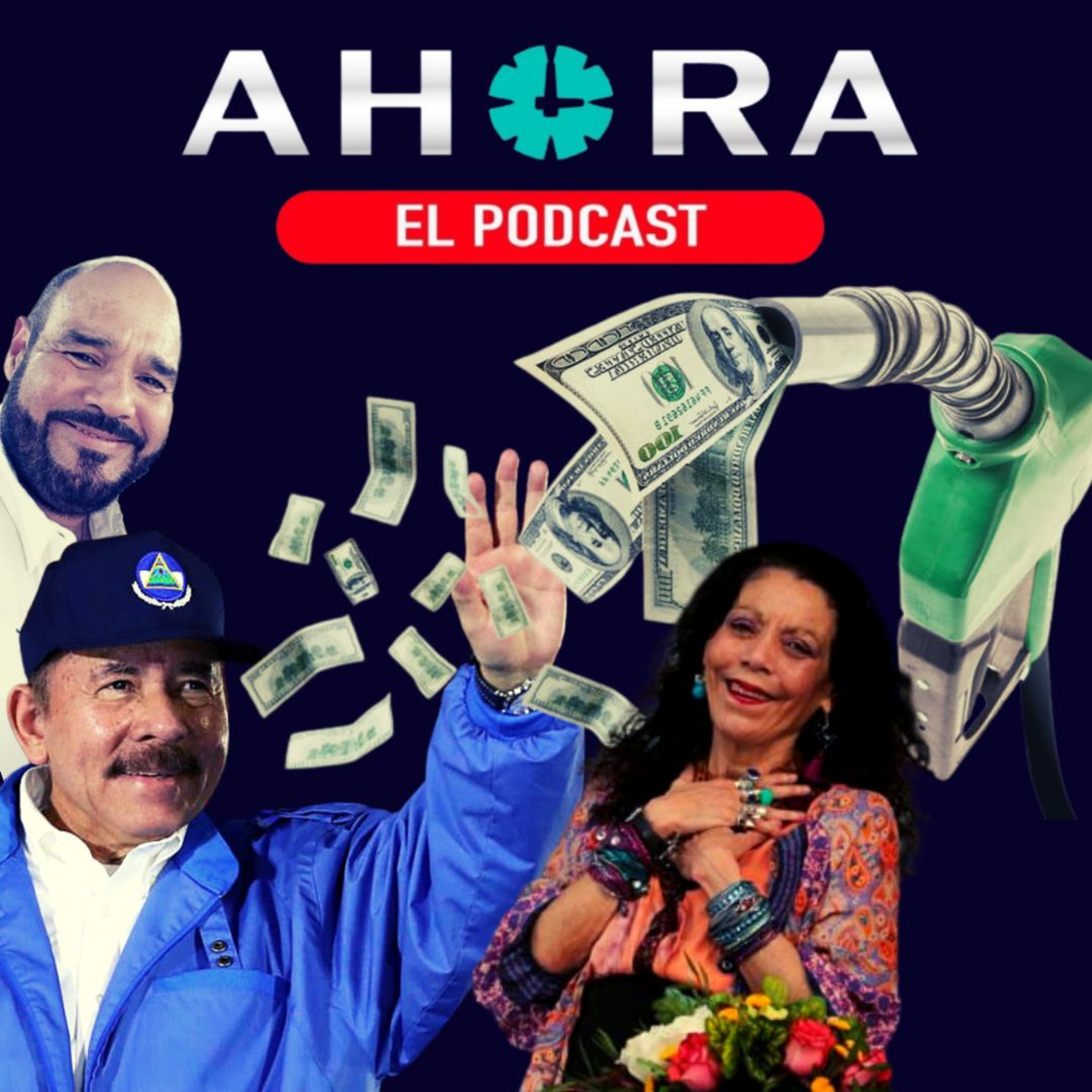 Artículo 66