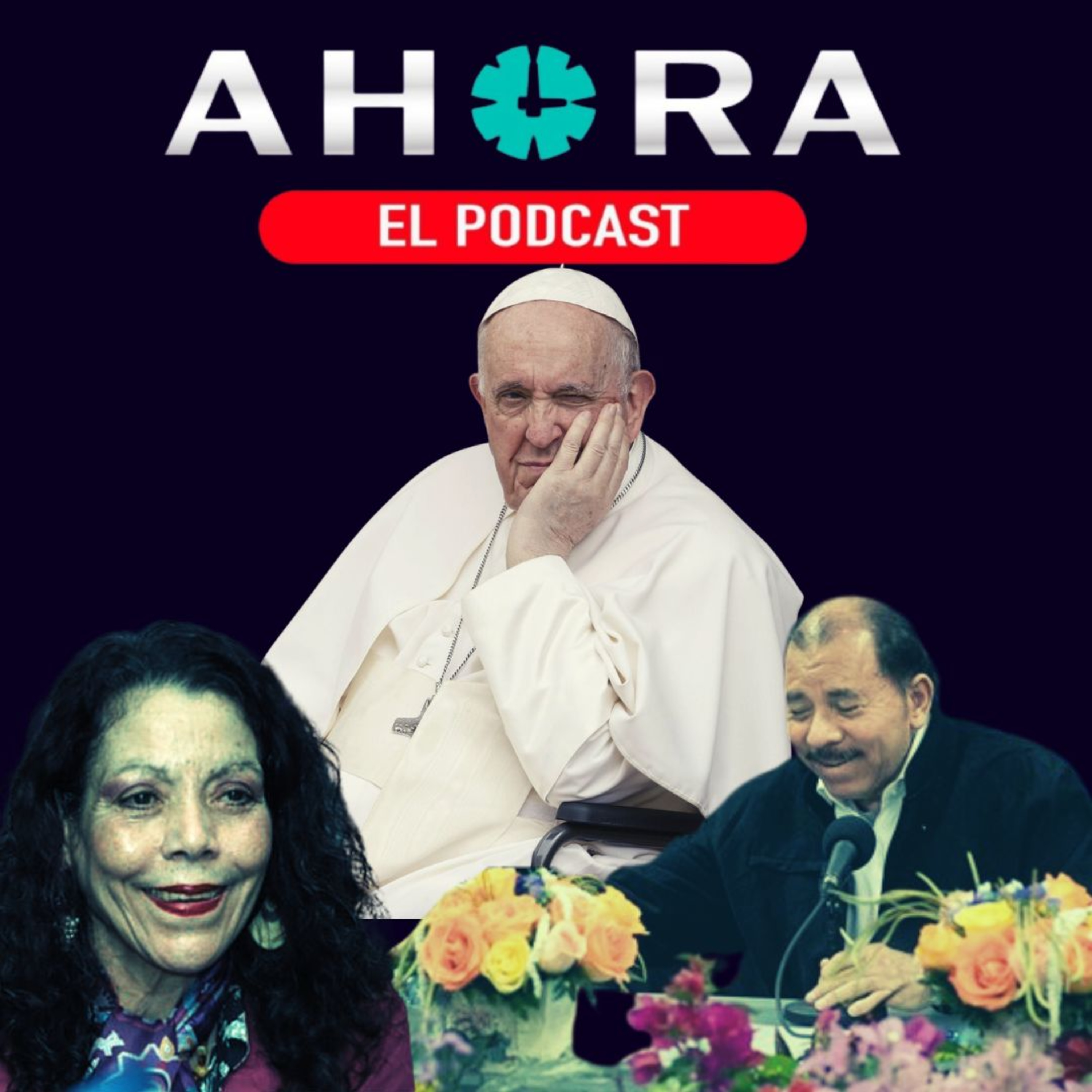 Artículo 66