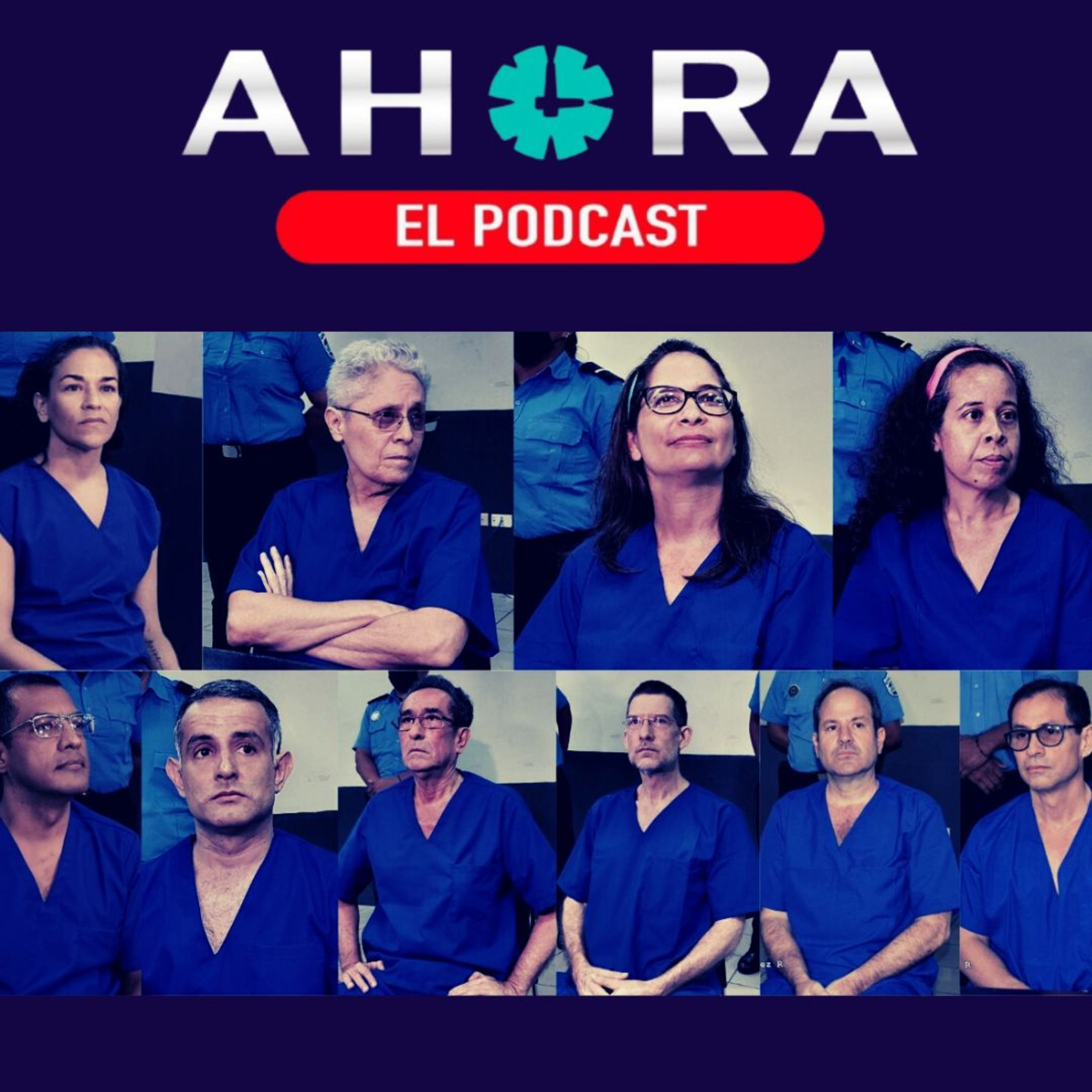Artículo 66