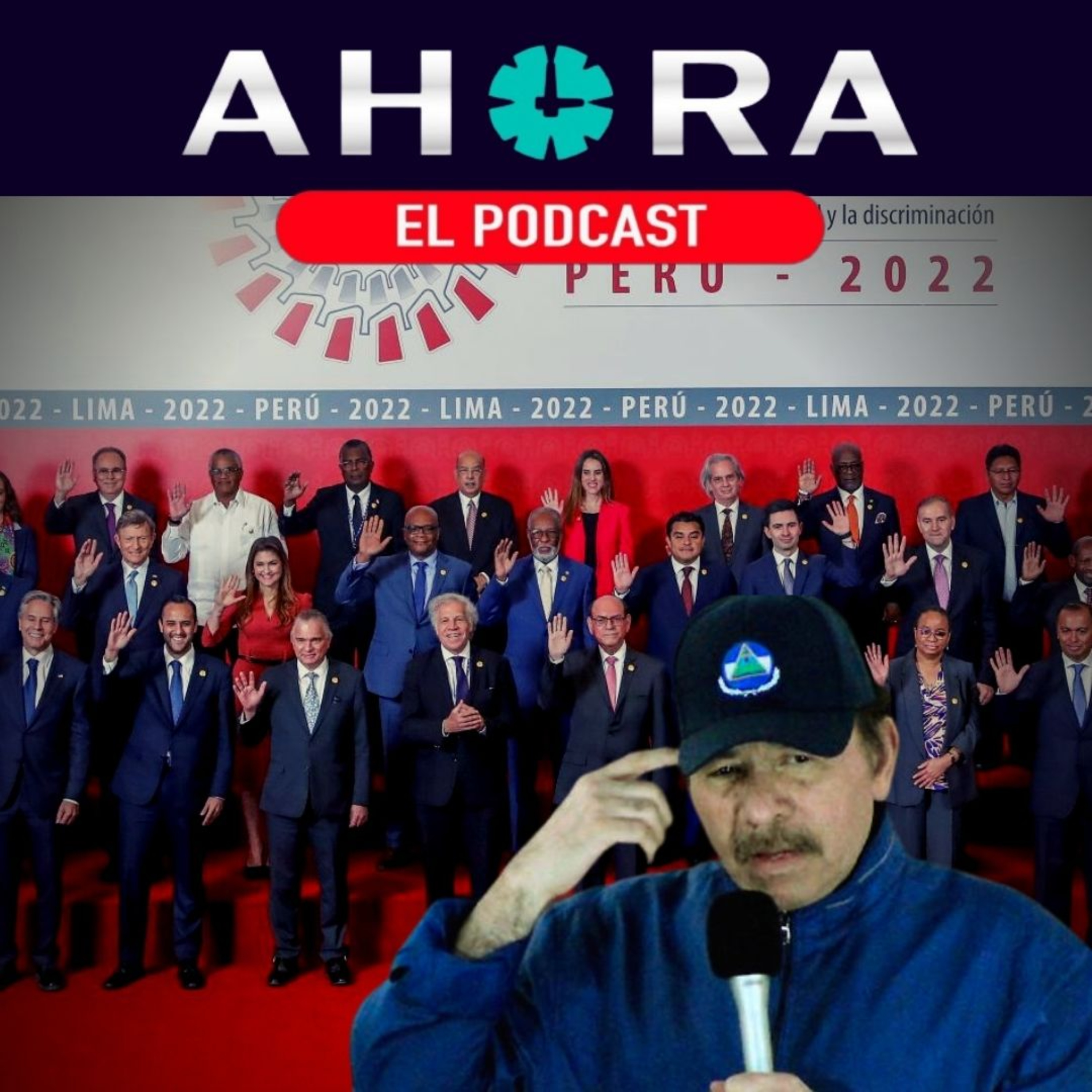 Artículo 66