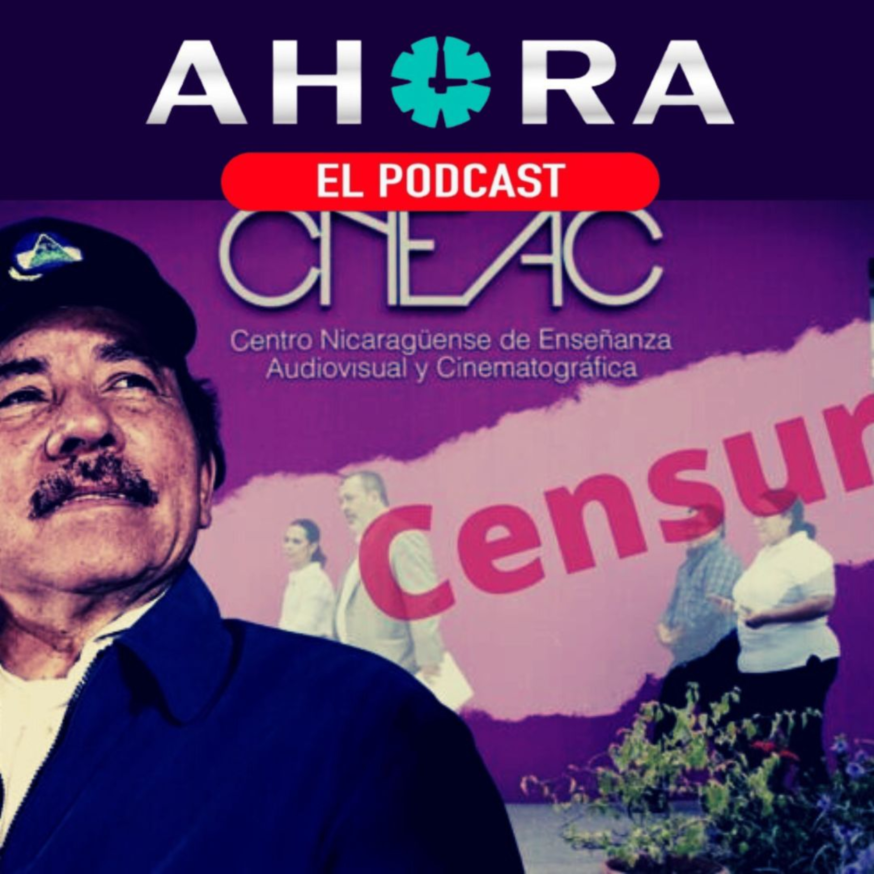 Portada de Artículo 66
