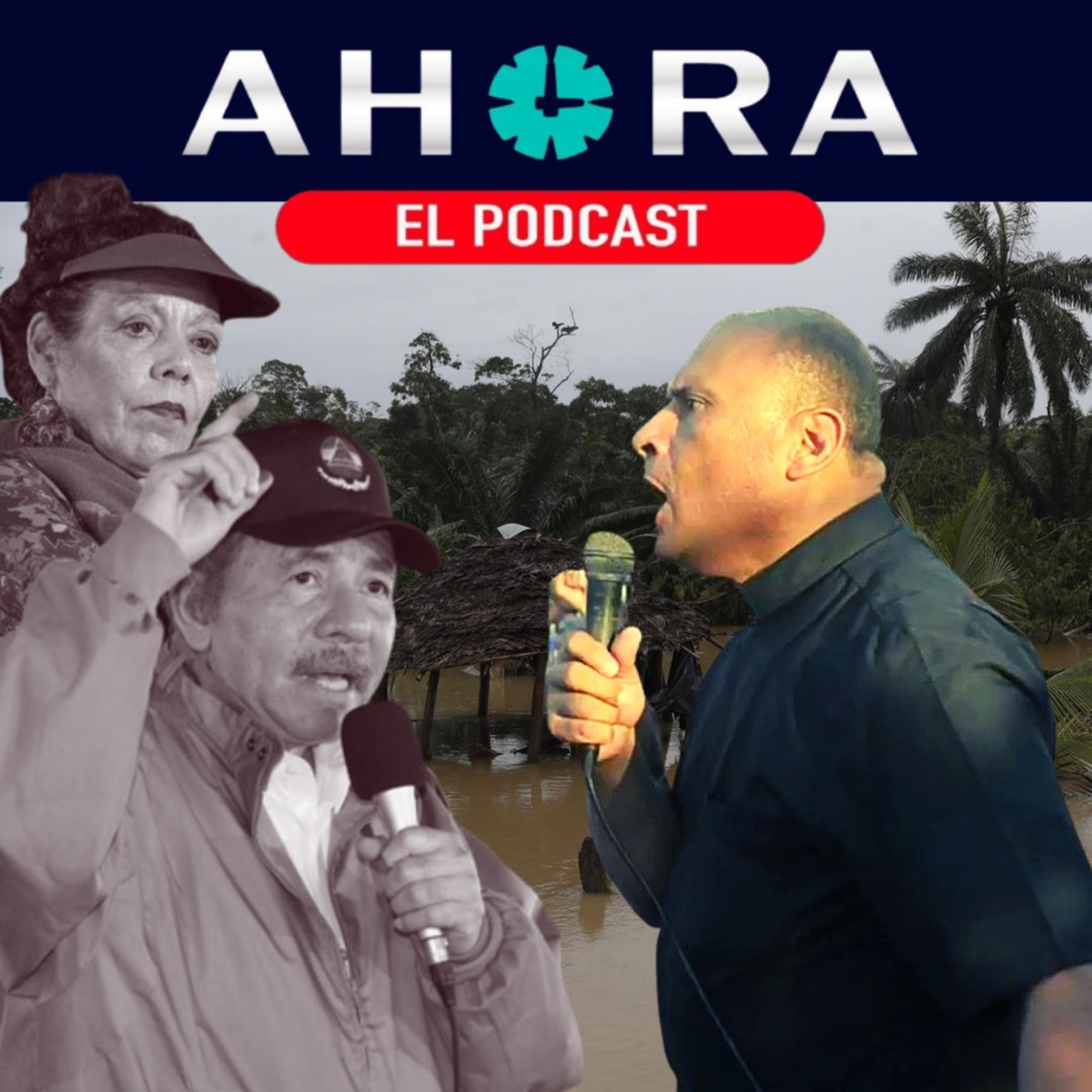 Artículo 66