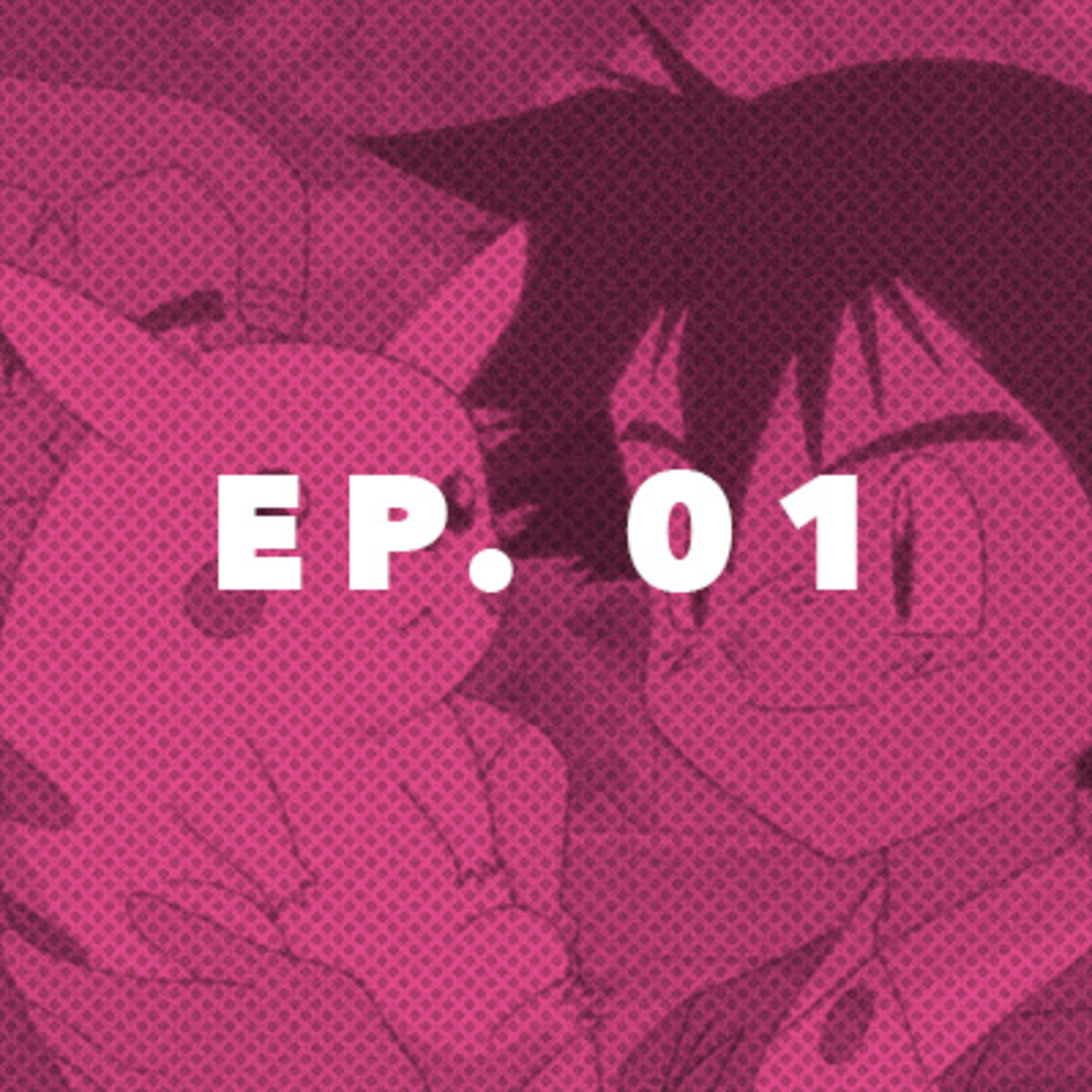 01. Pokémon episode artwork