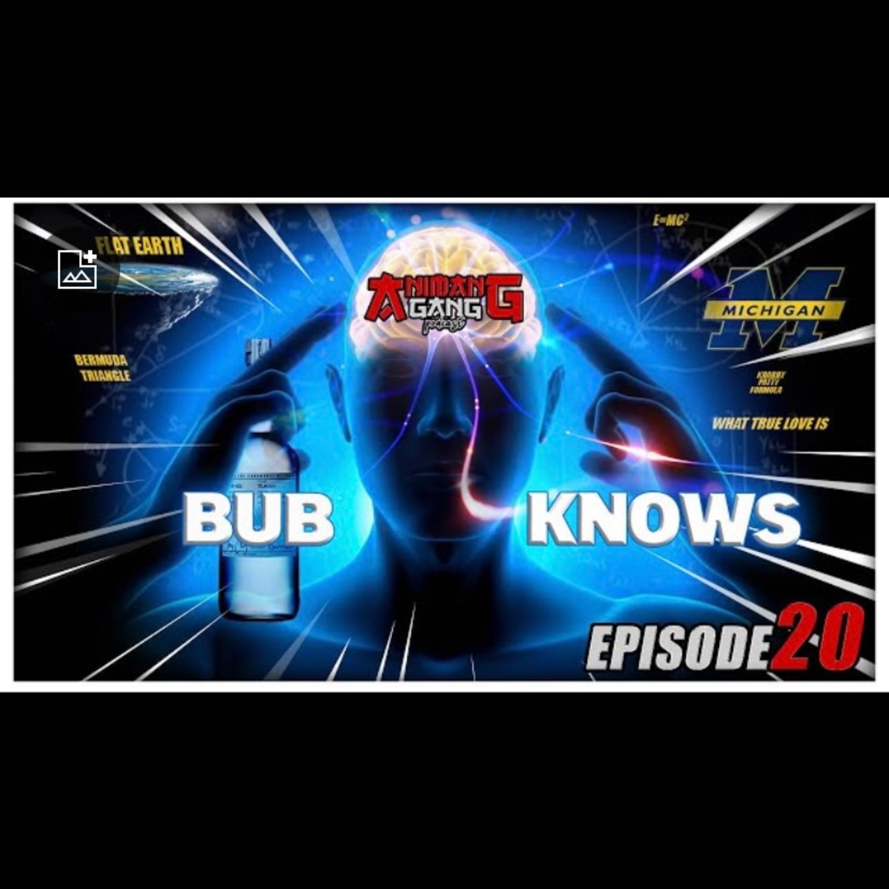 The Animang Gang Podcast