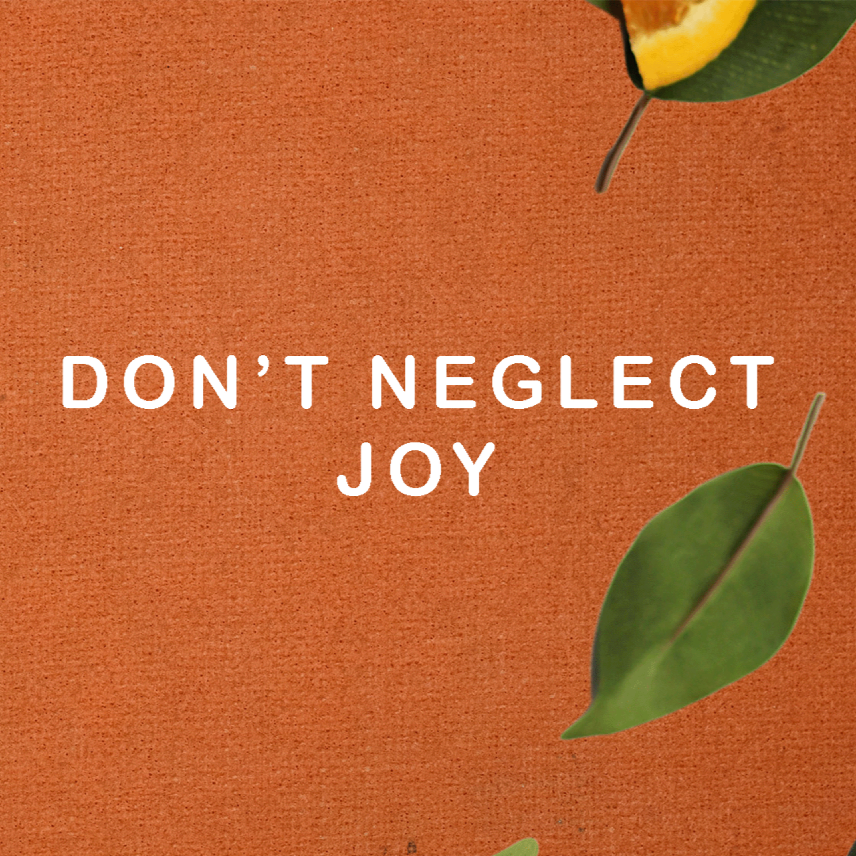 Don't Neglect Joy | Levi Mulhare episode artwork