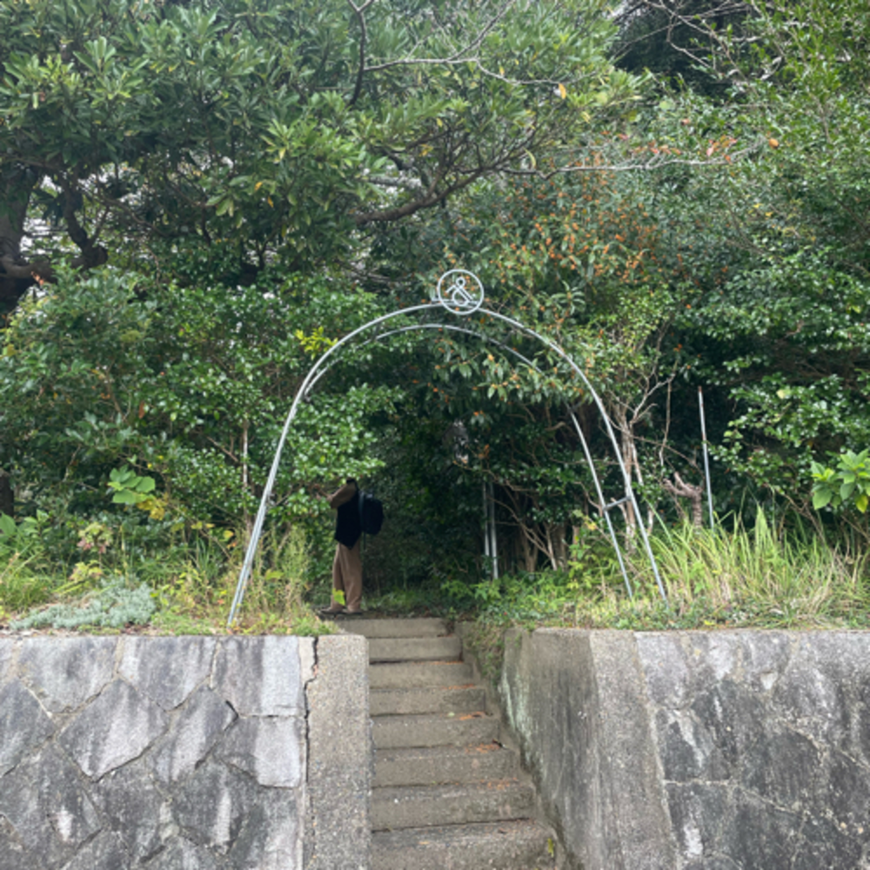 薬草園蒸留所、海を眺めていたら、千葉のこと