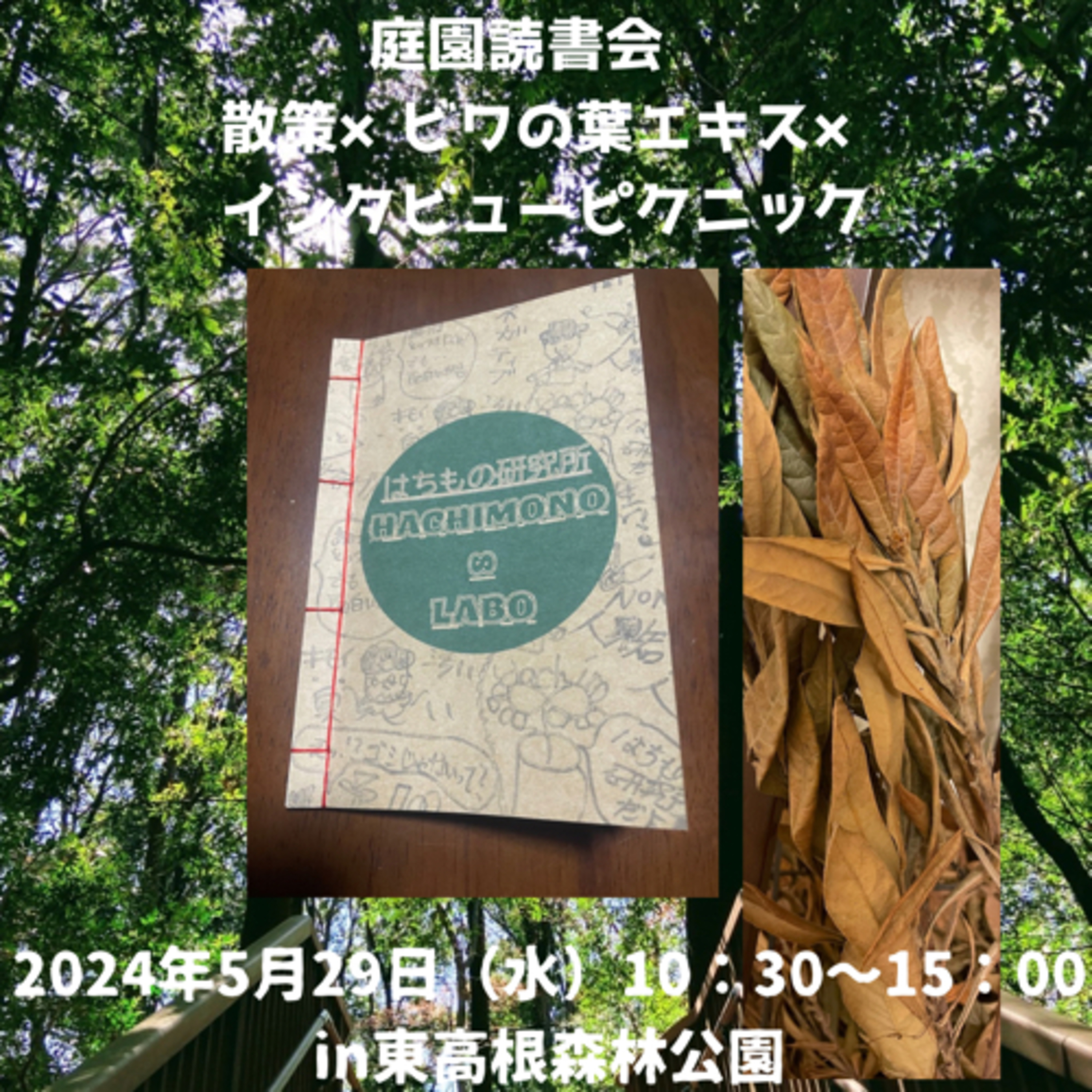 ビワの葉エキスを作ってみよう！薬草の色々。