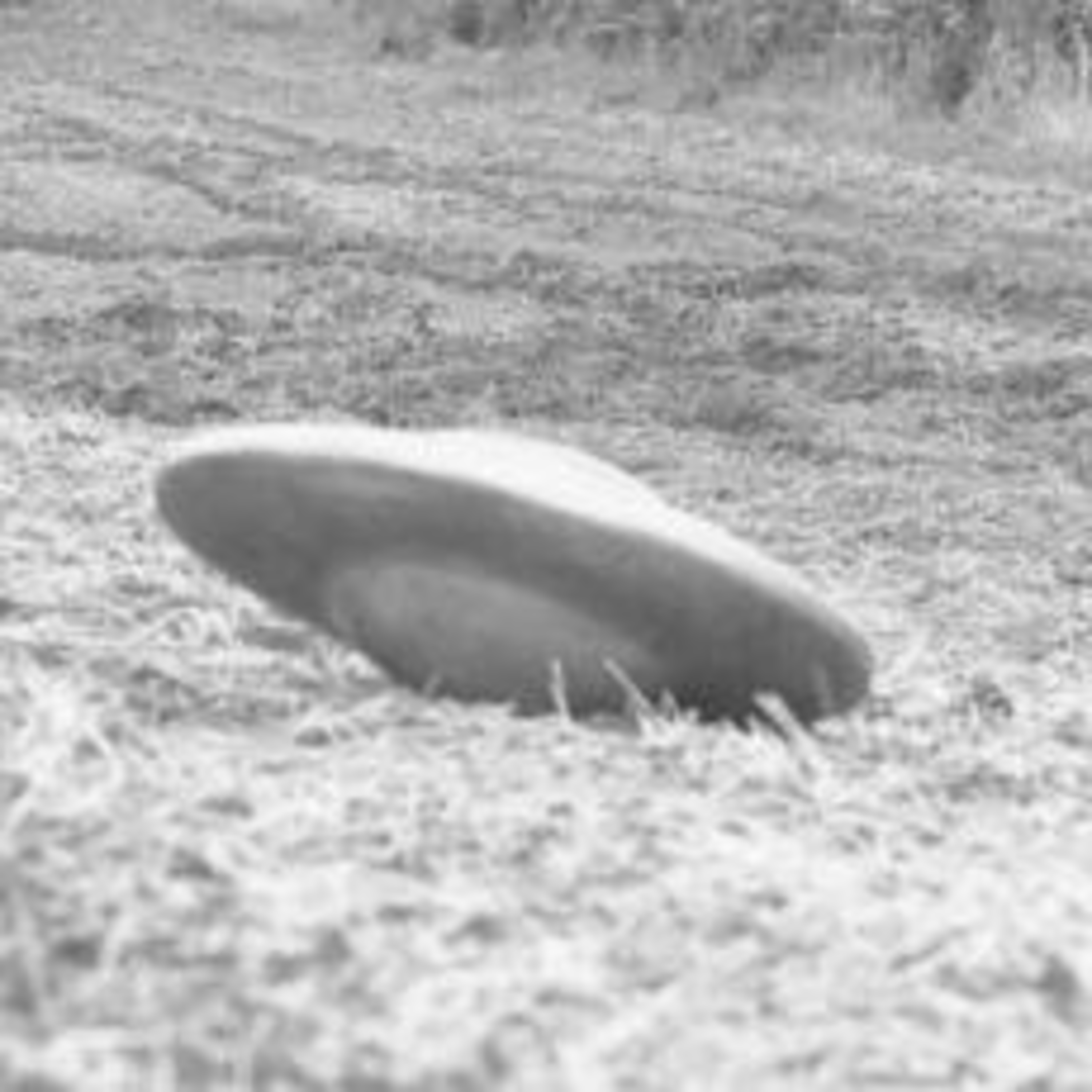 Vamos Falar Sobre Ufologia