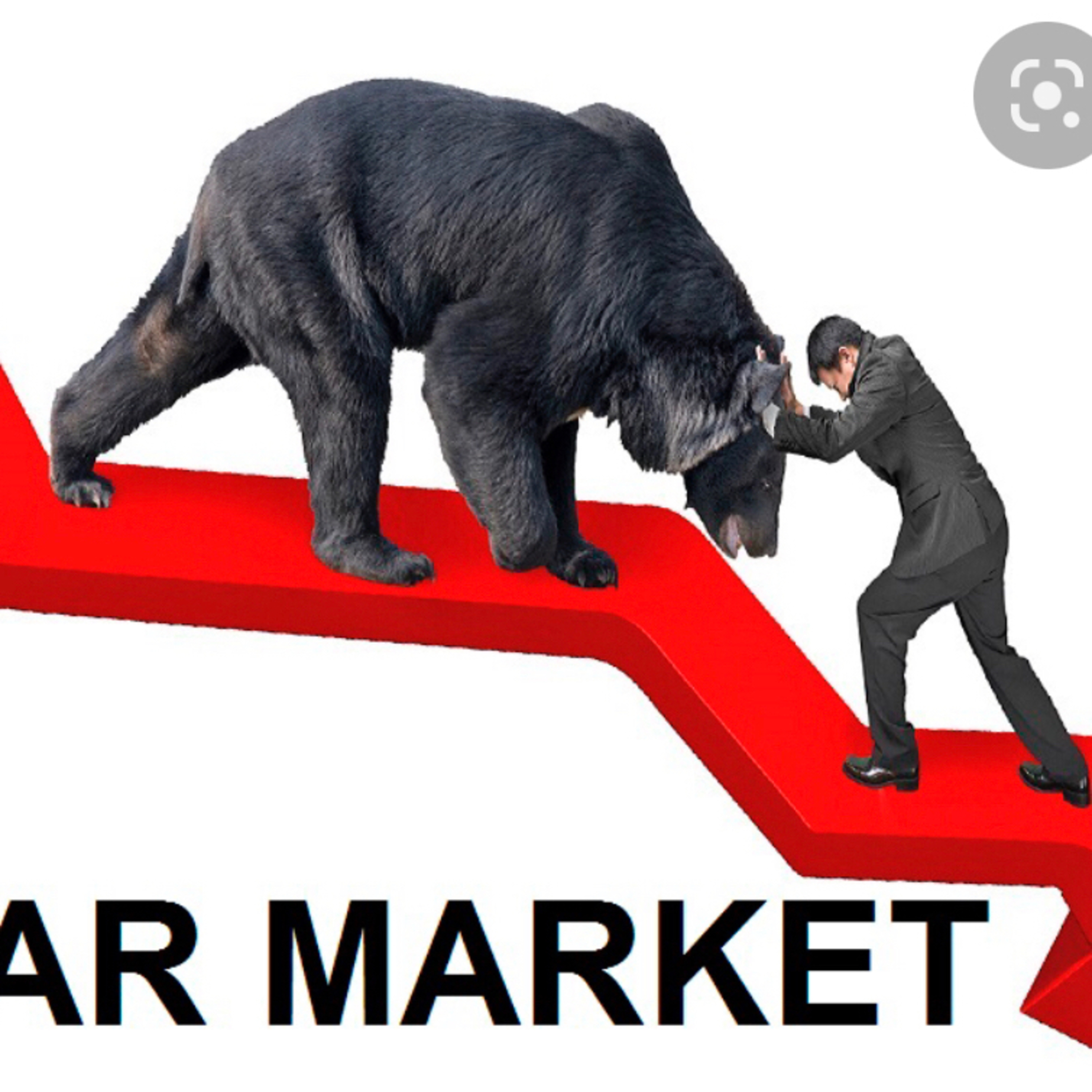 Bear market!!🐻🧸 suportar esse momento difficil📉📉📉 episode artwork
