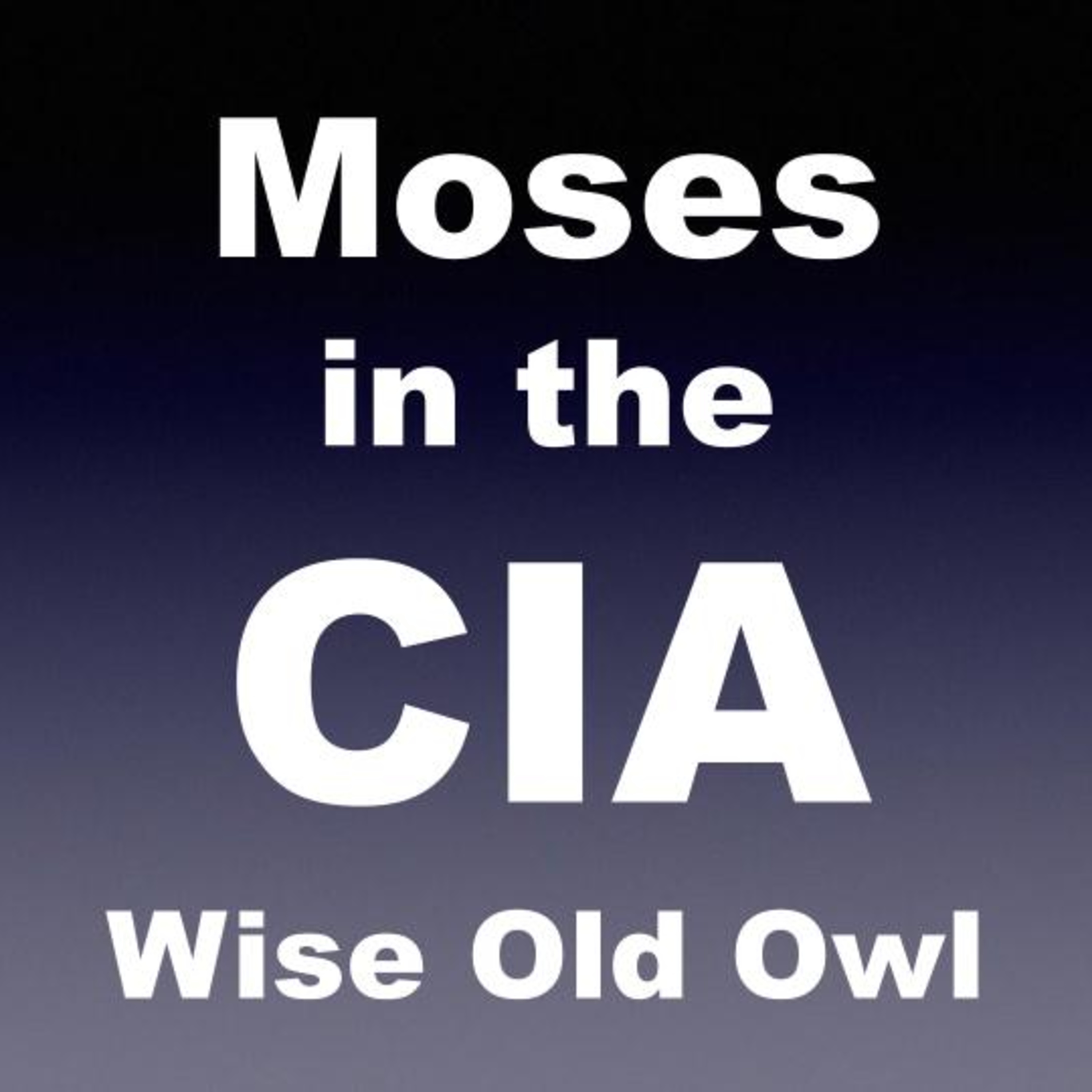 Wise Old Owl episode artwork