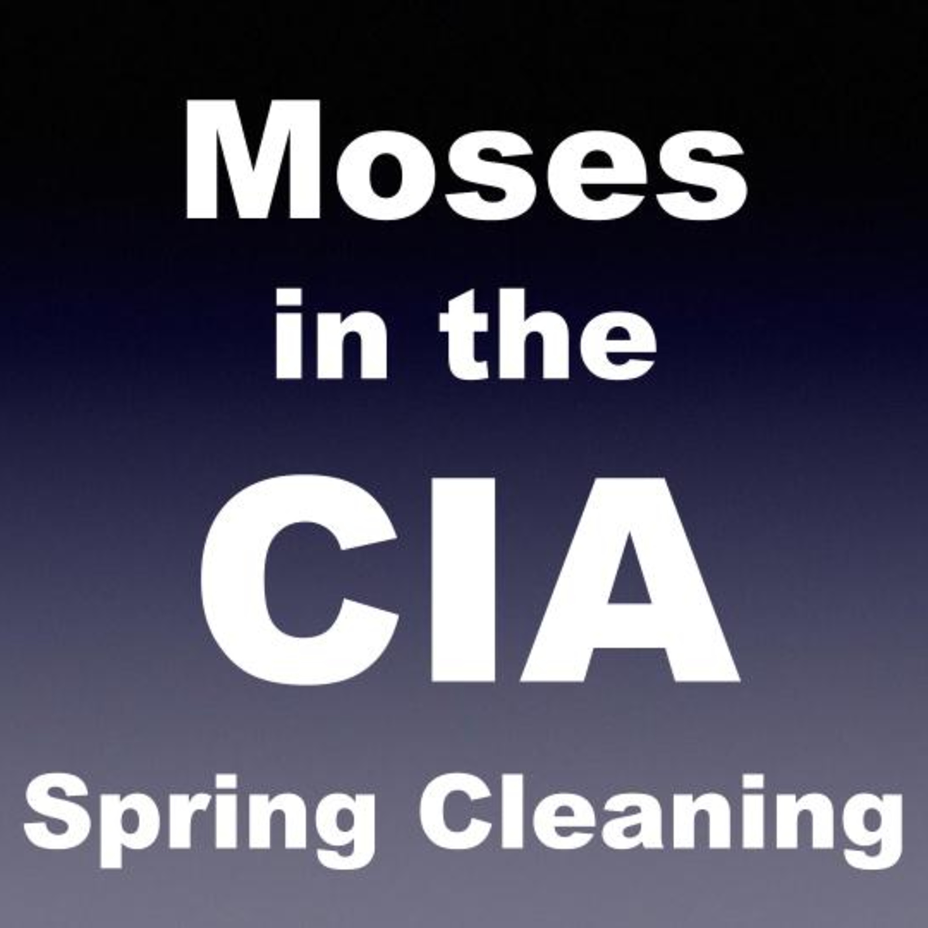 Spring Cleaning episode artwork