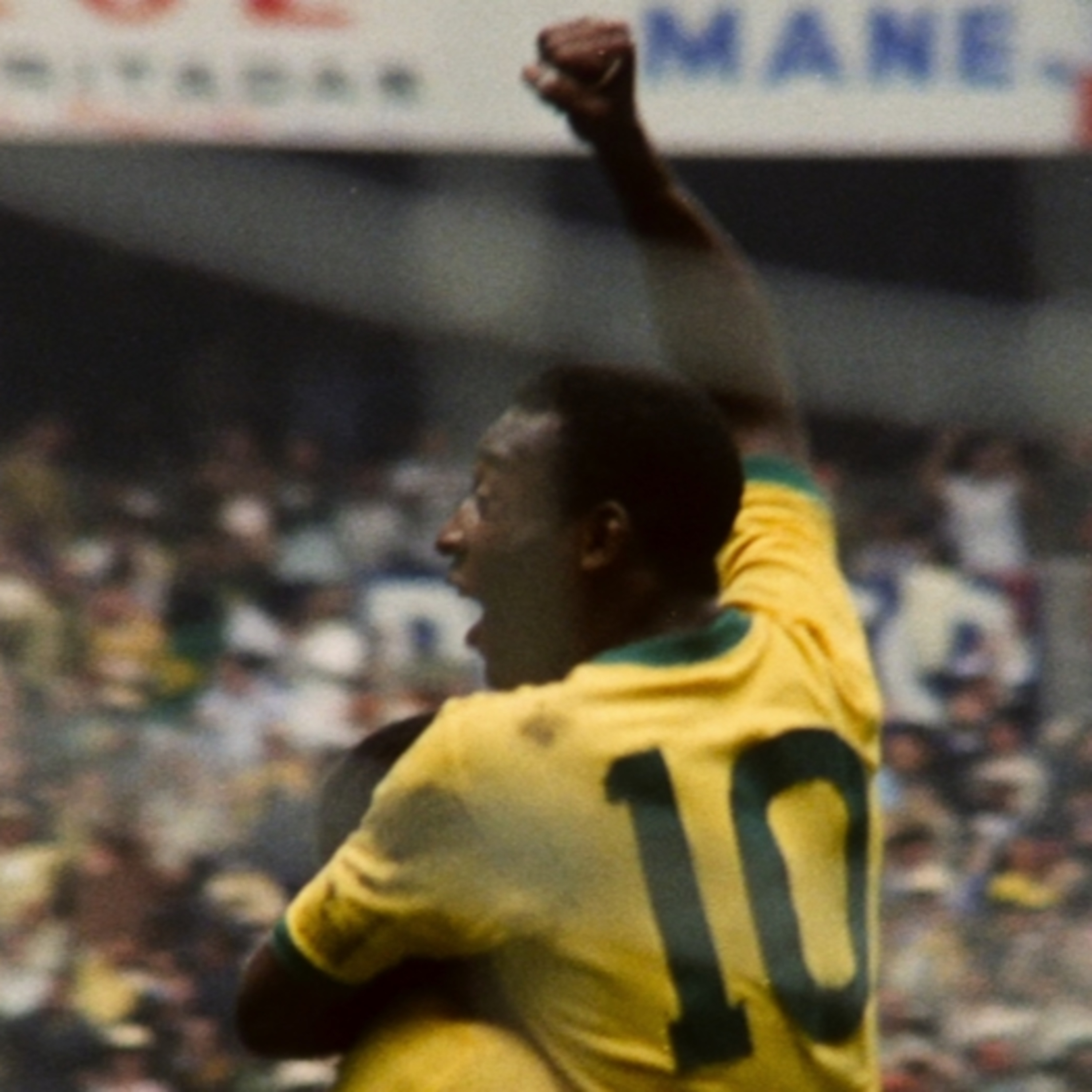 Filmes: tudo sobre