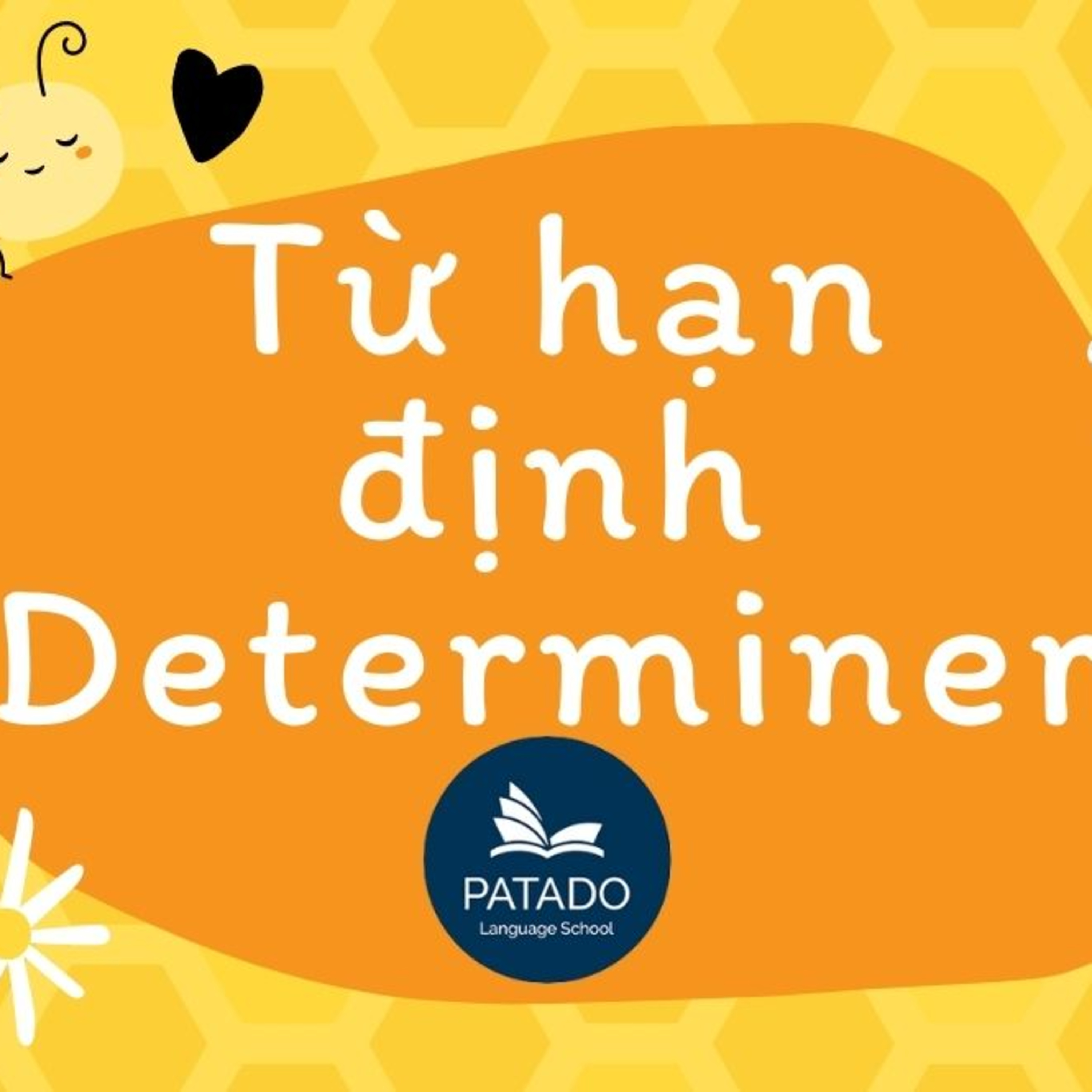 Patado Việt Nam
