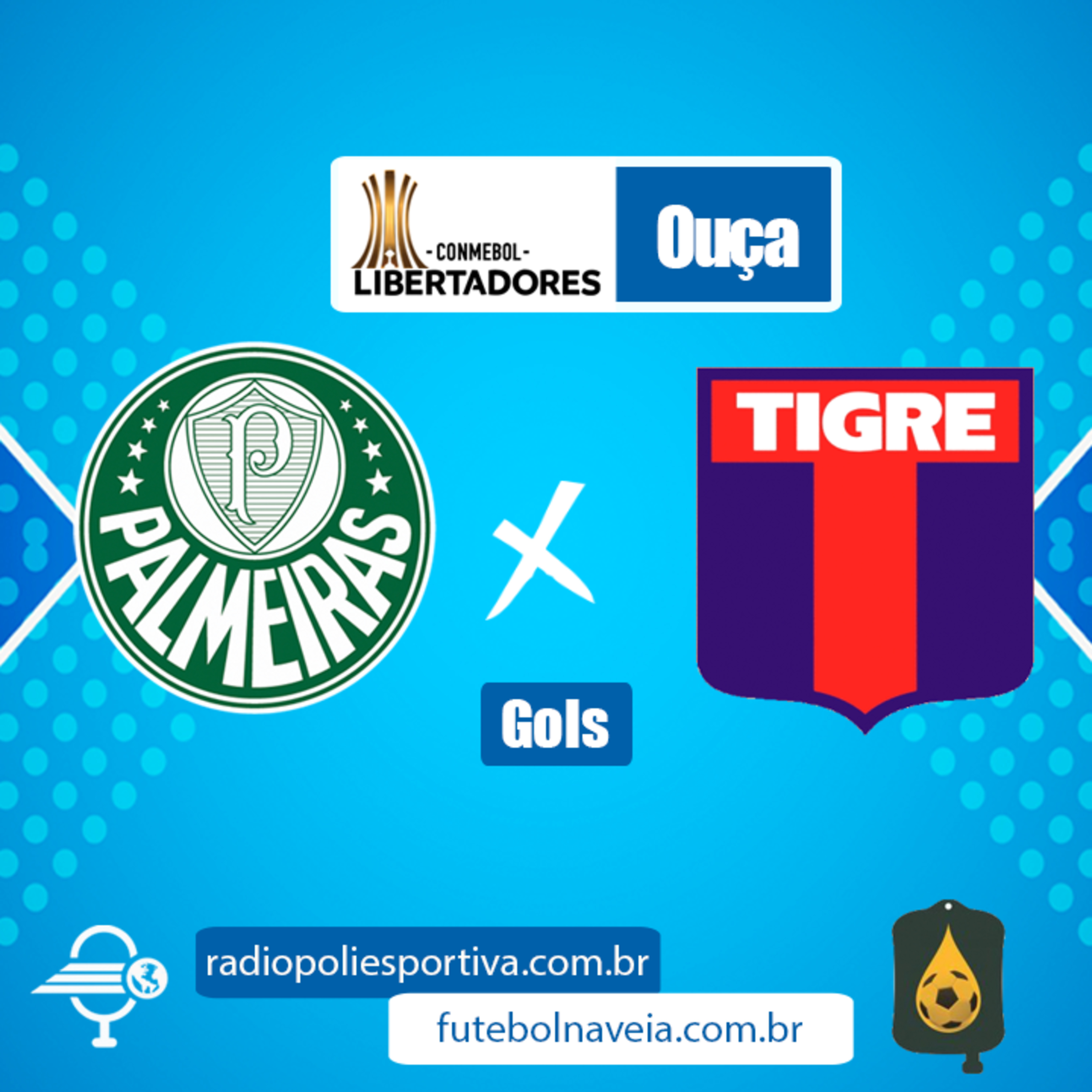 FUTEBOL NA VEIA E POLIESPORTIVA - LIBERTADORES 2020 - RODADA #6 - GRUPO B - GOLS DE PALMEIRAS 5 X 0 TIGRE-ARG episode artwork